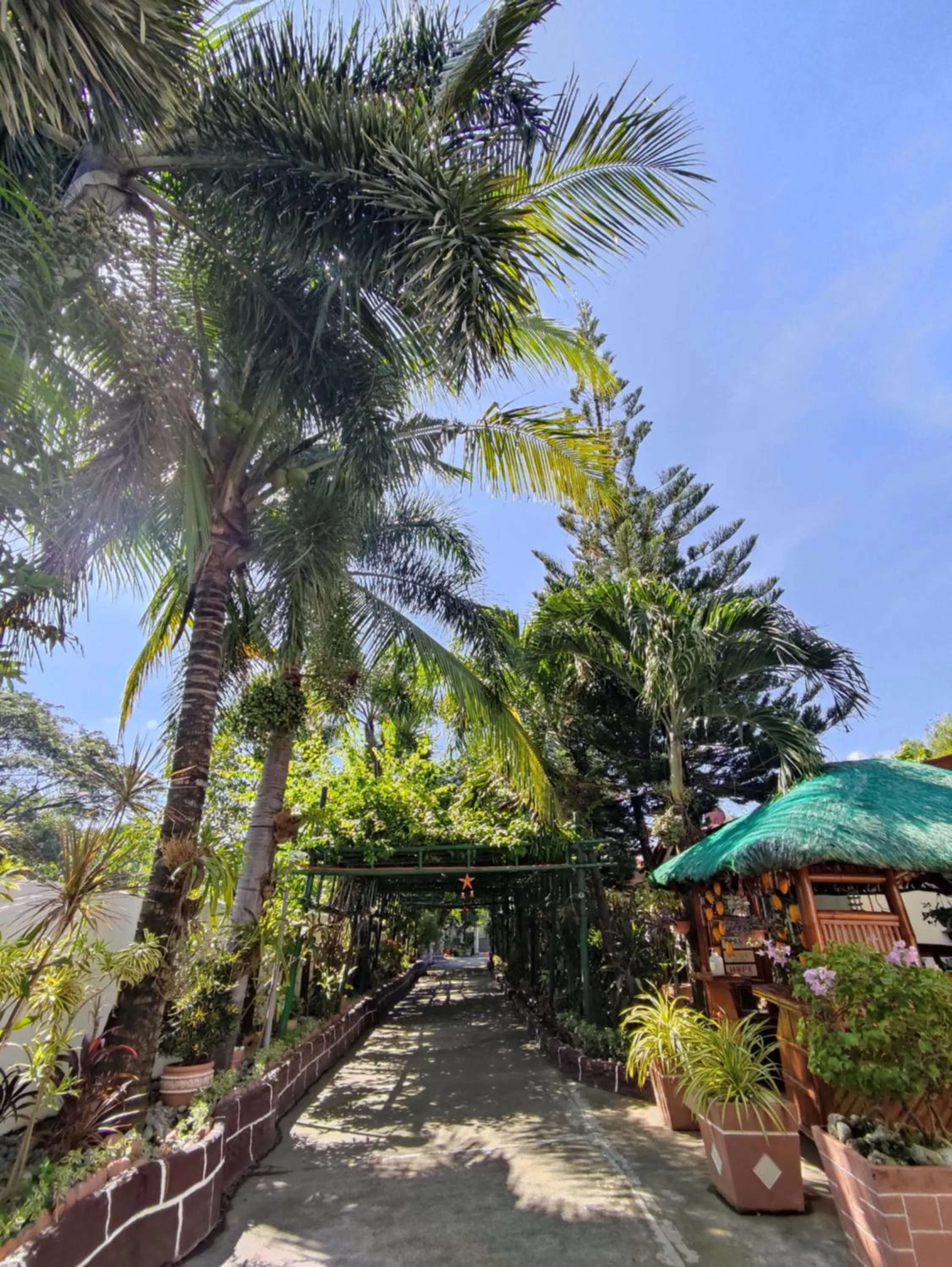 Garden in Olana Bed and Breakfast