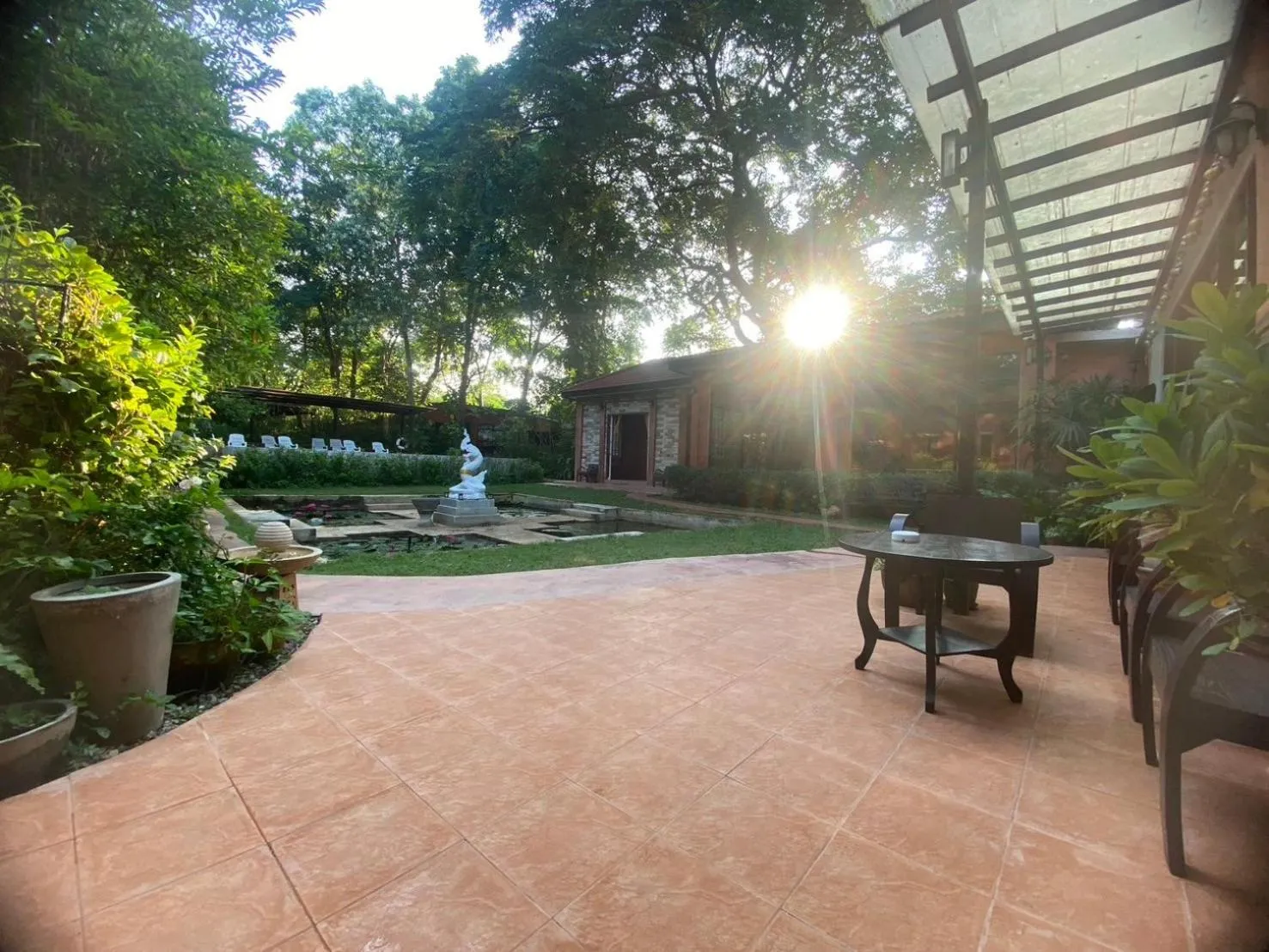 Garden in The Journey House Lifestyle Boutique Hotel