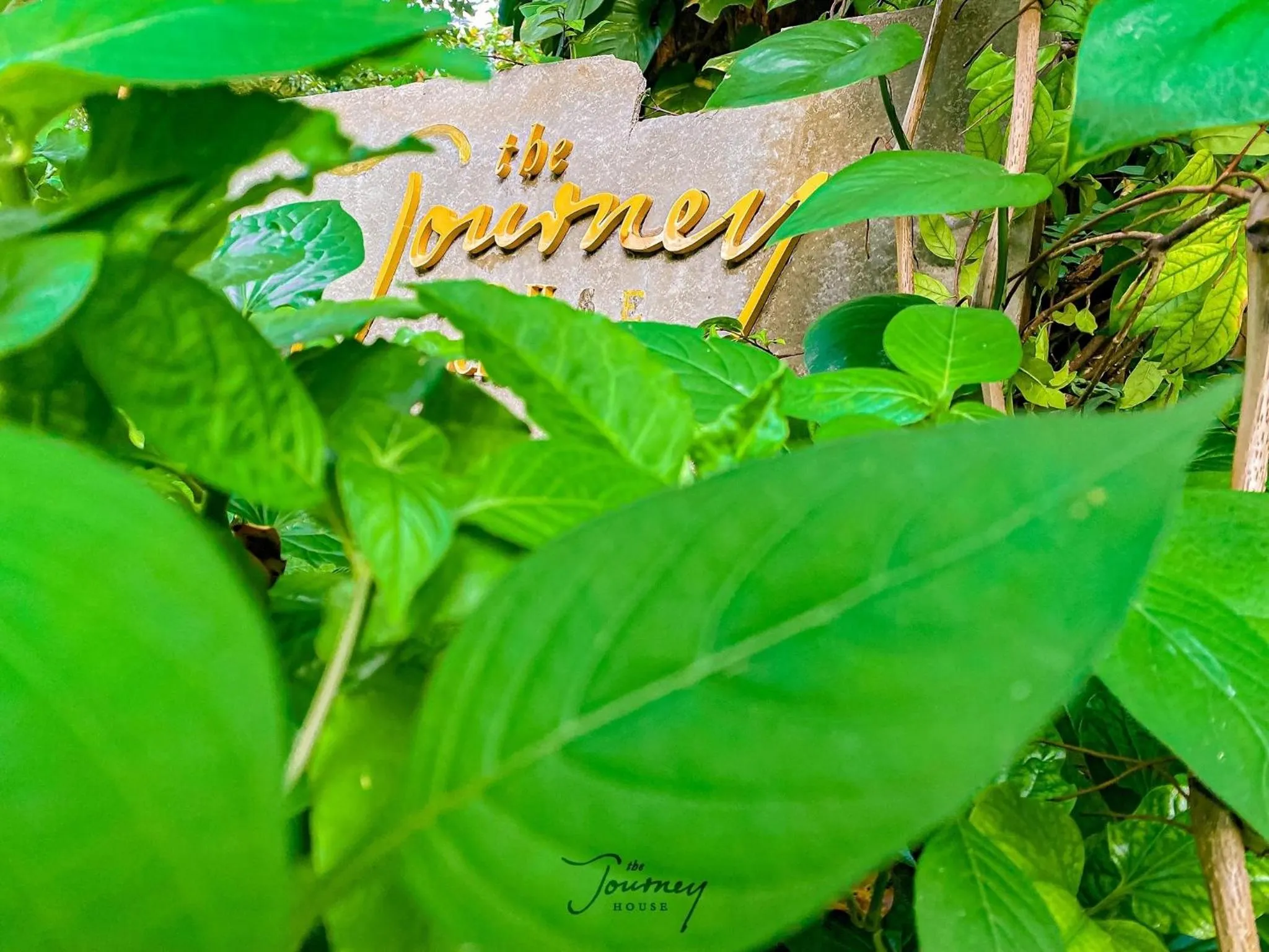 Facade/entrance in The Journey House Lifestyle Boutique Hotel