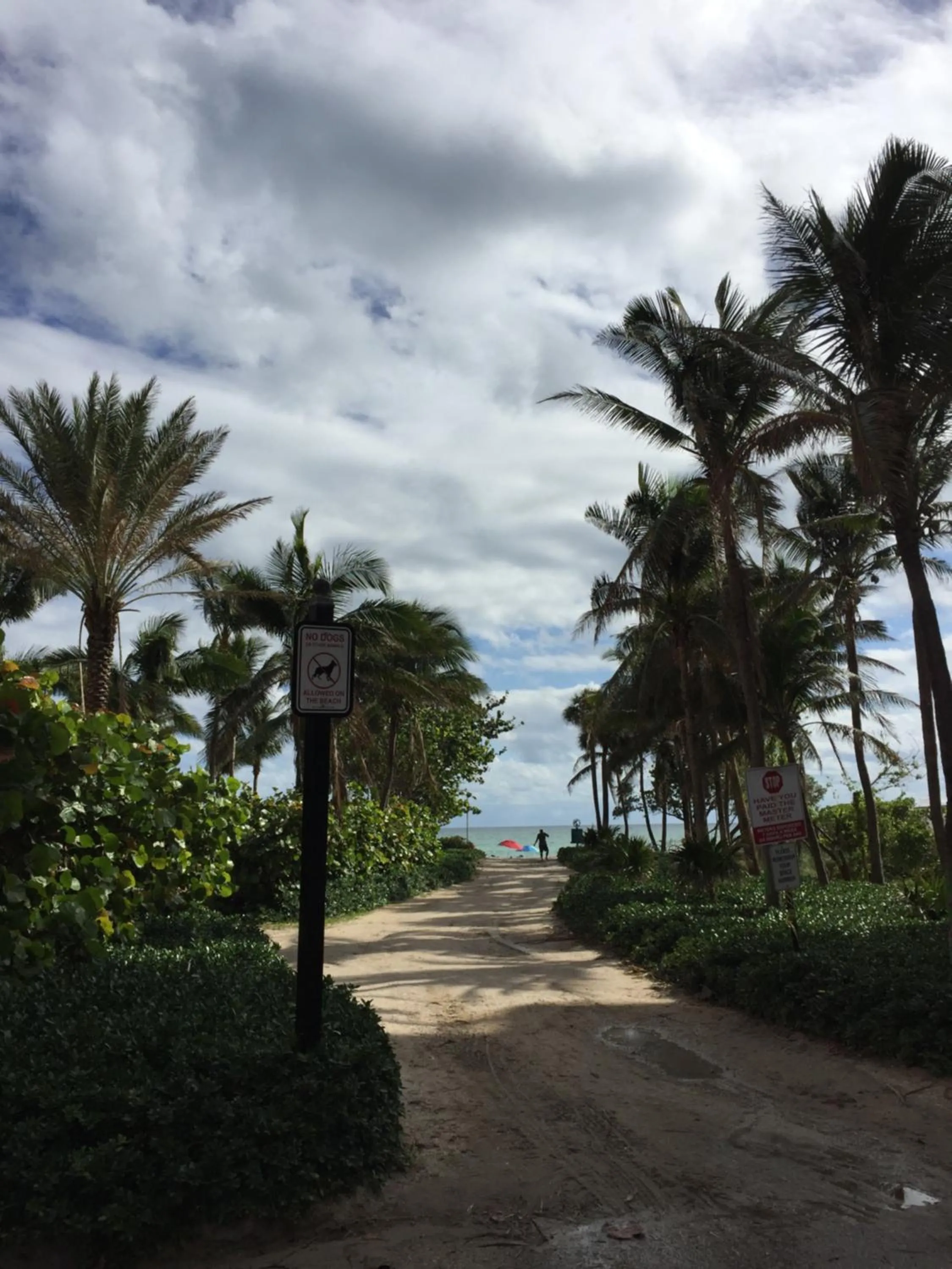 Beach in Ocean Reserve STR-01045