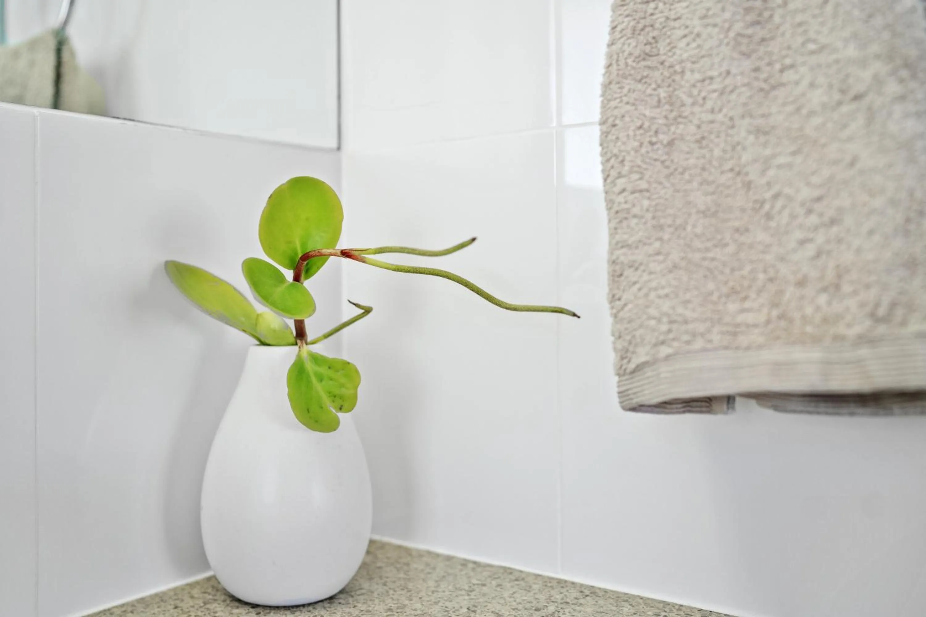 Decorative detail in Burgess @ Kings Beach Apartments