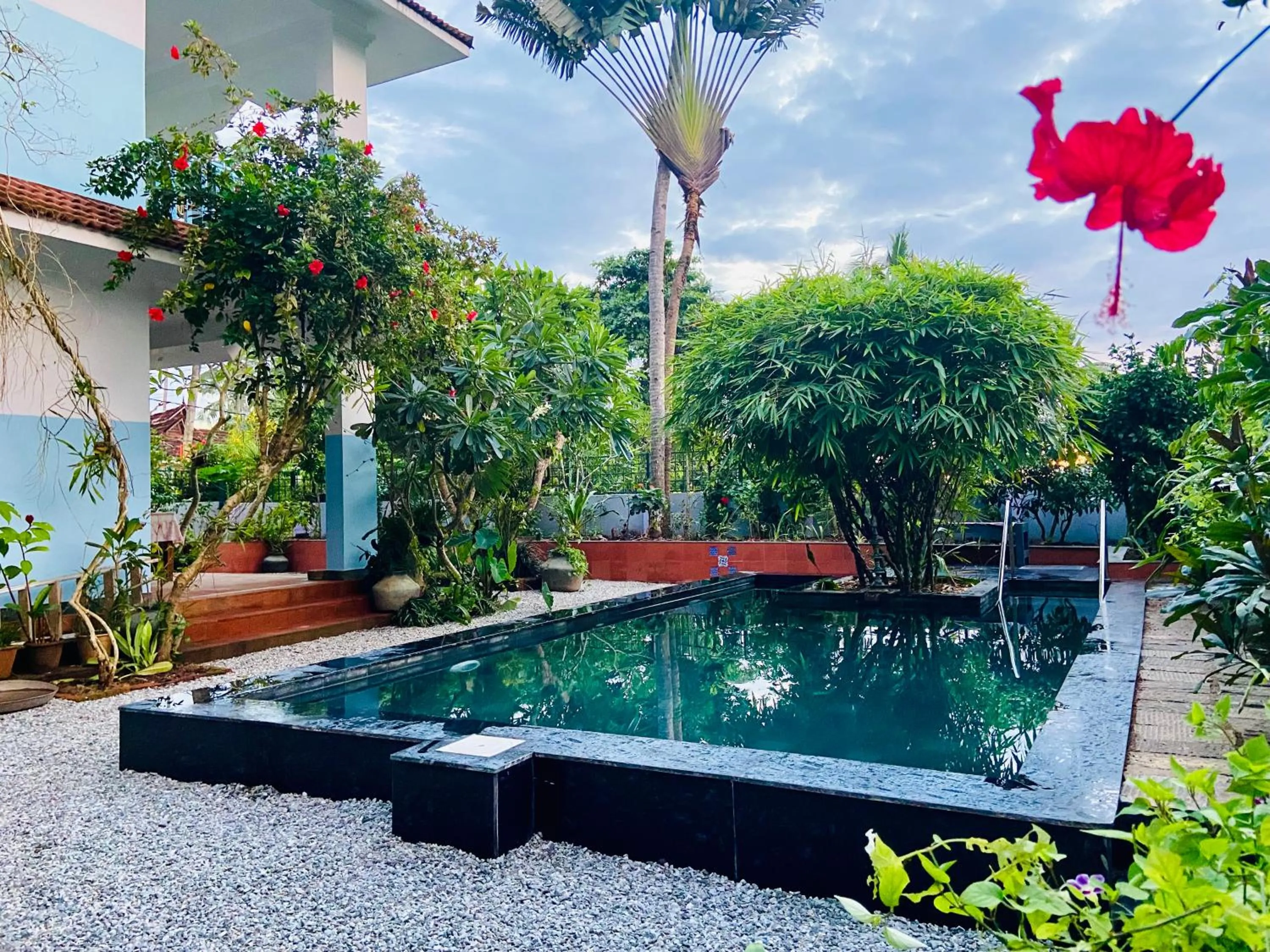 Swimming pool in Villa Jacaranda