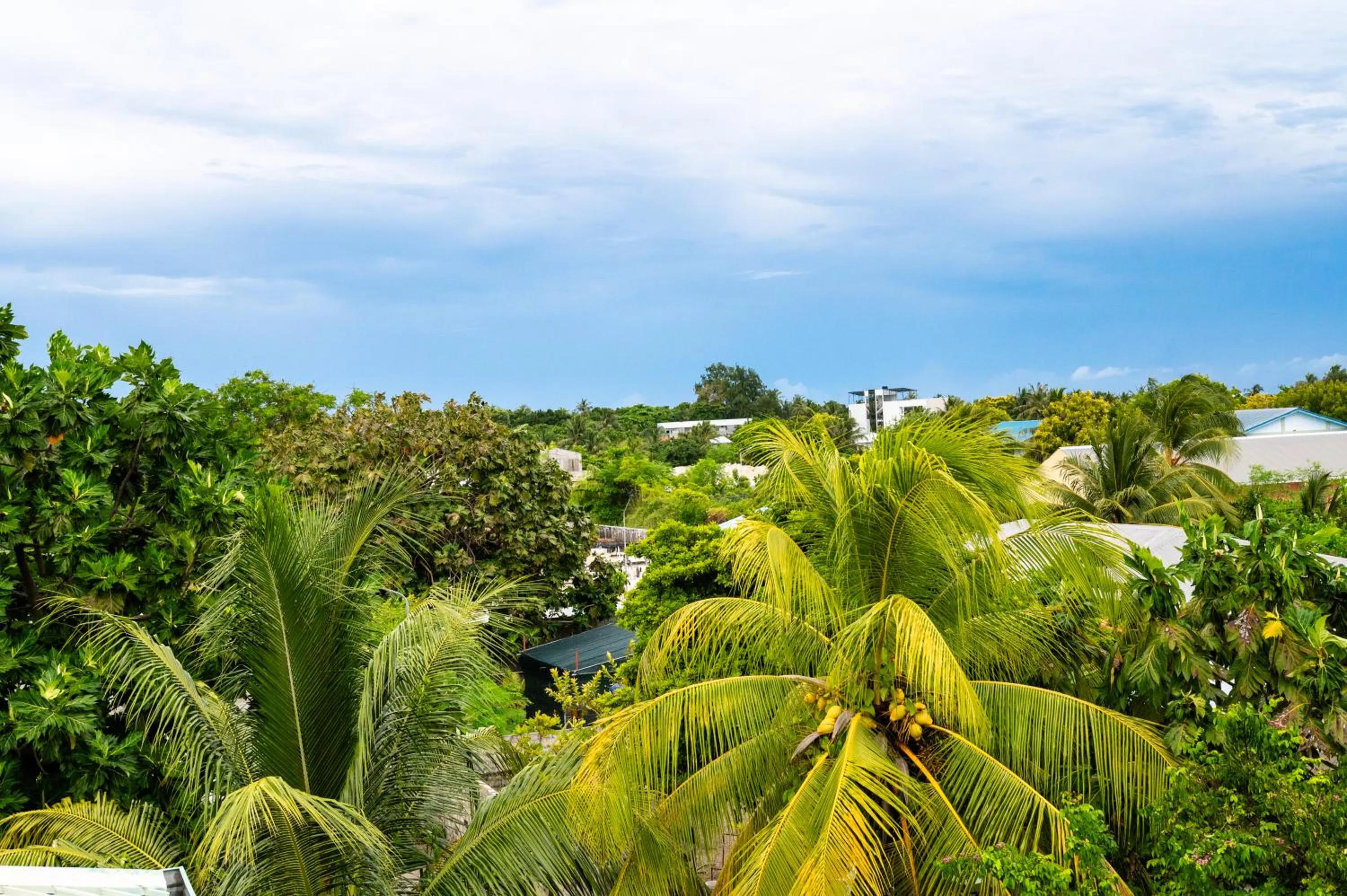 Day in Biosphere Inn