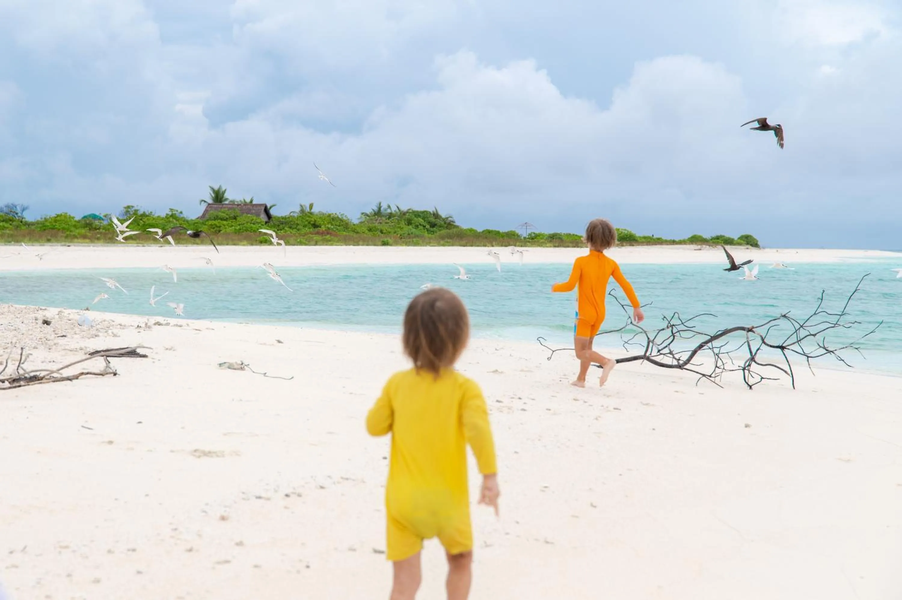 Day in Biosphere Inn