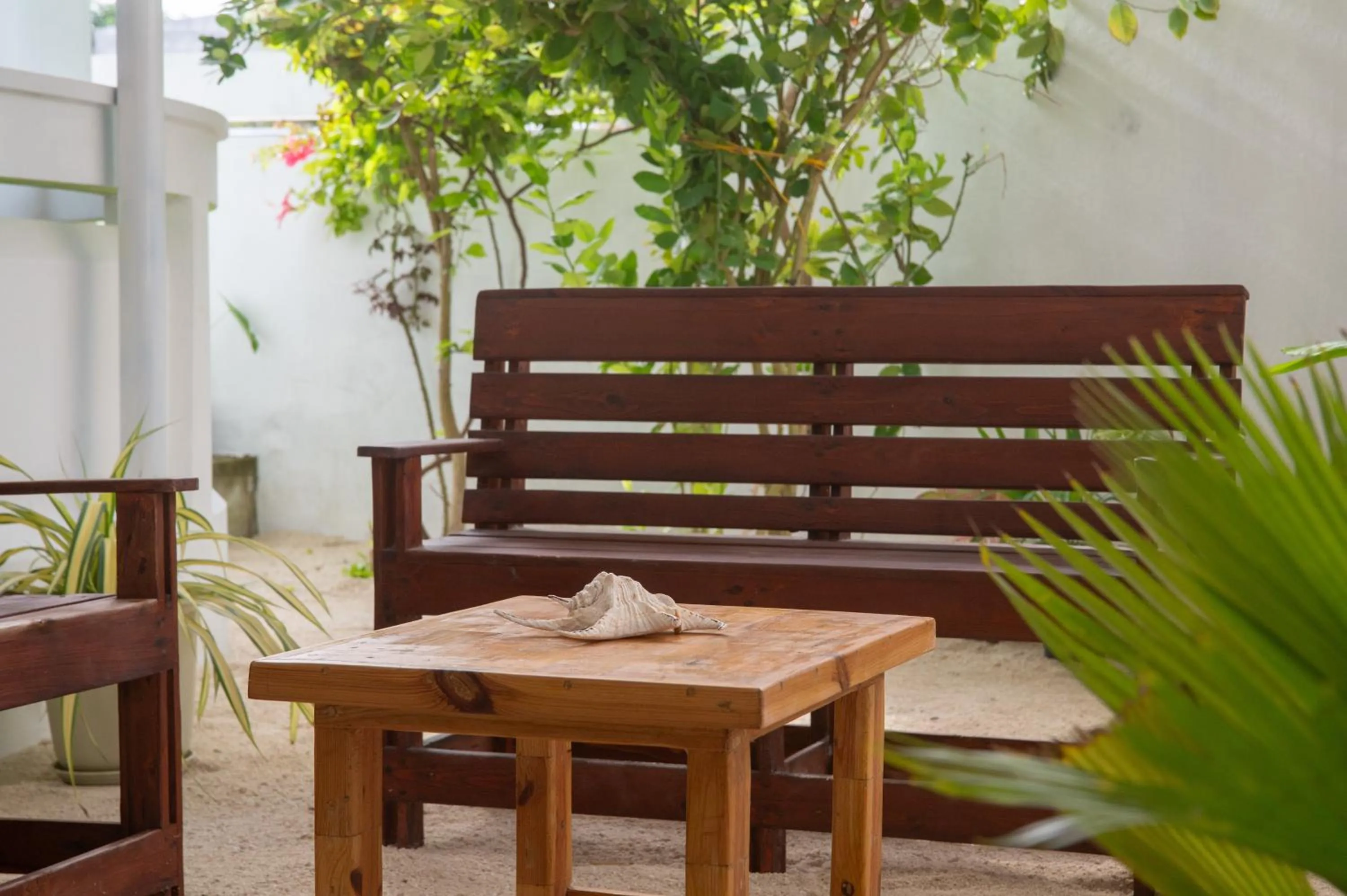 Lounge or bar in Biosphere Inn