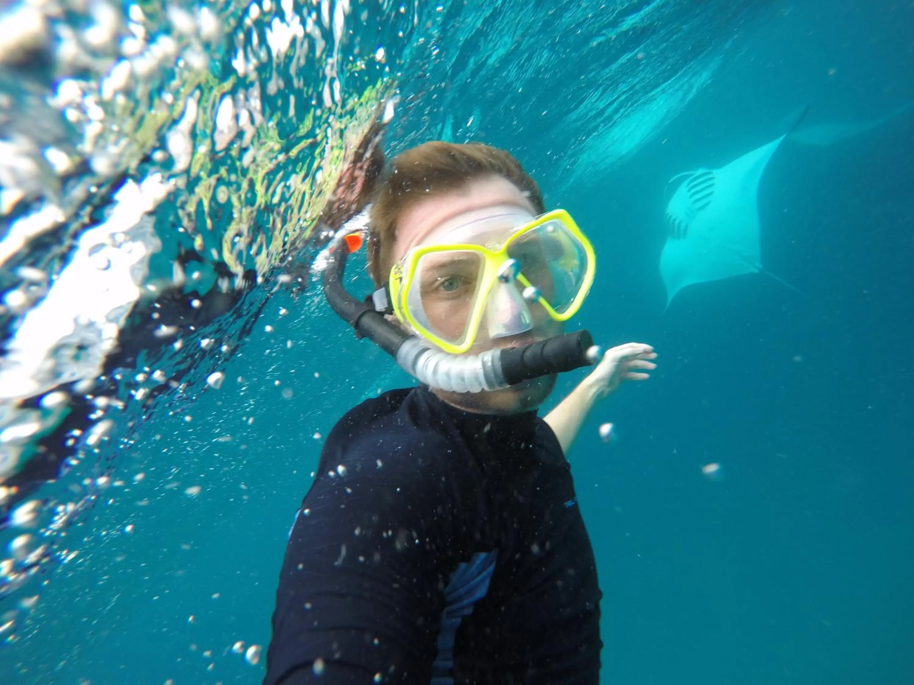 Natural landscape in Biosphere Inn