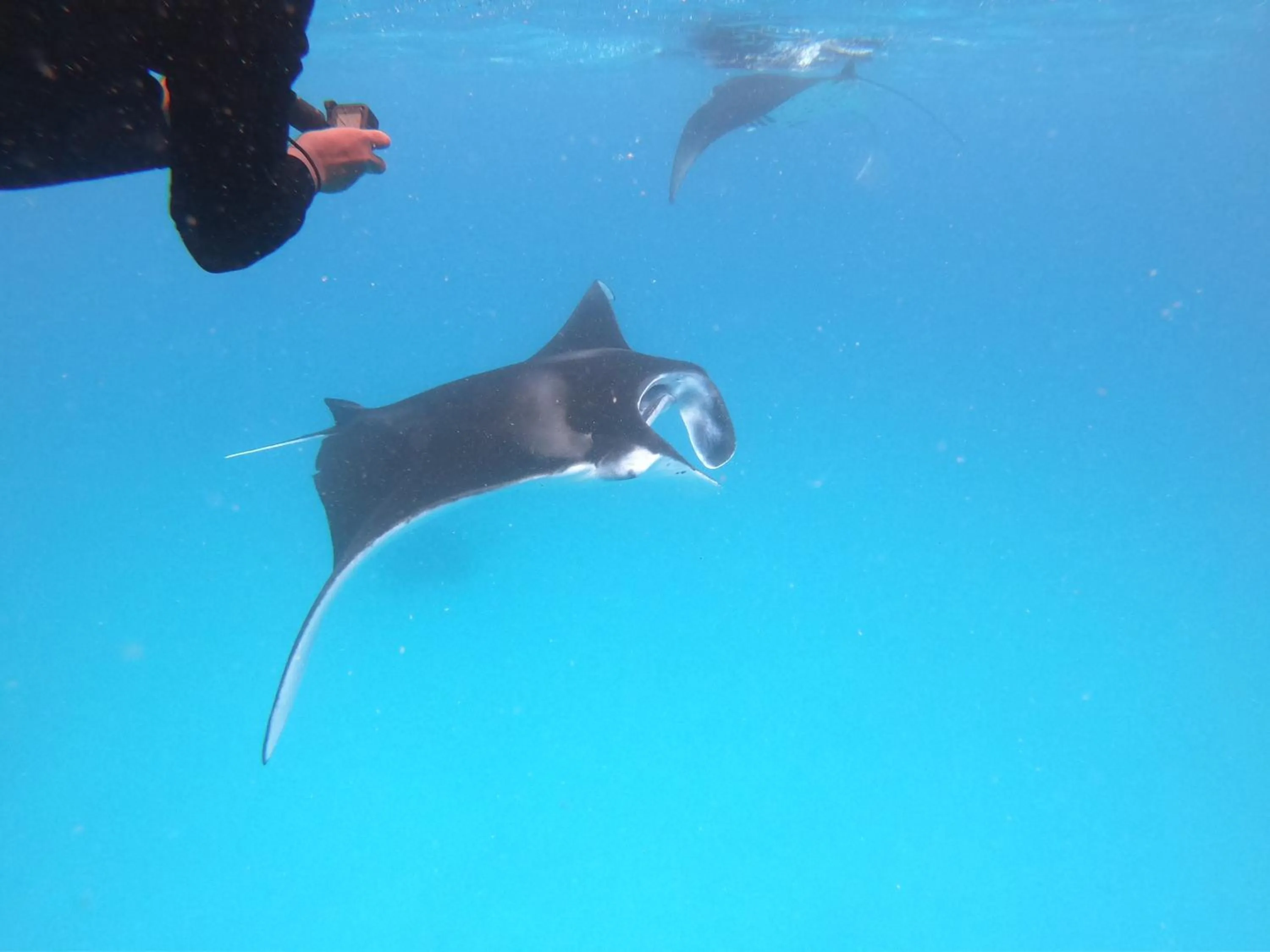 Natural landscape in Biosphere Inn