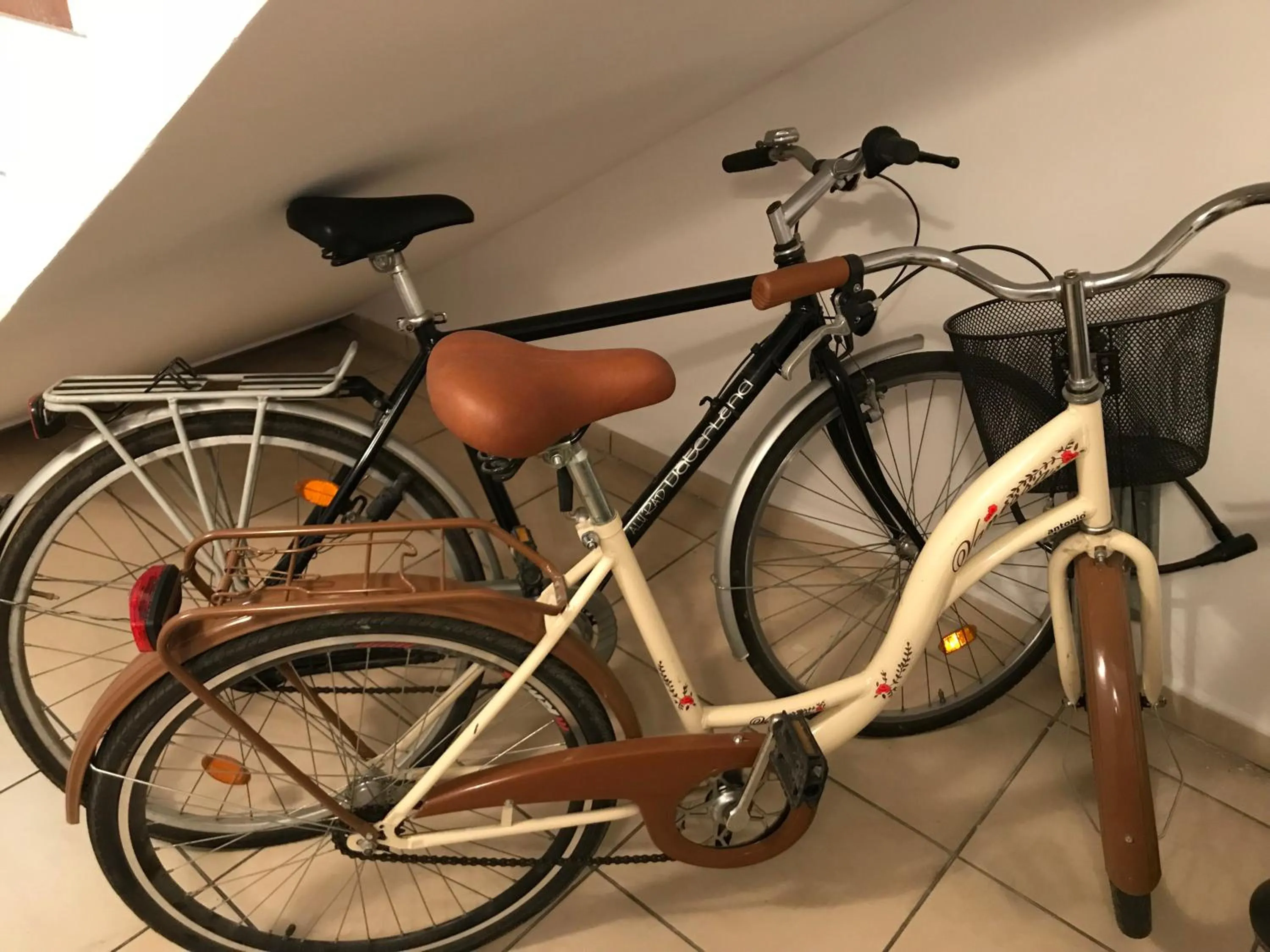 Cycling in Stella Apartment