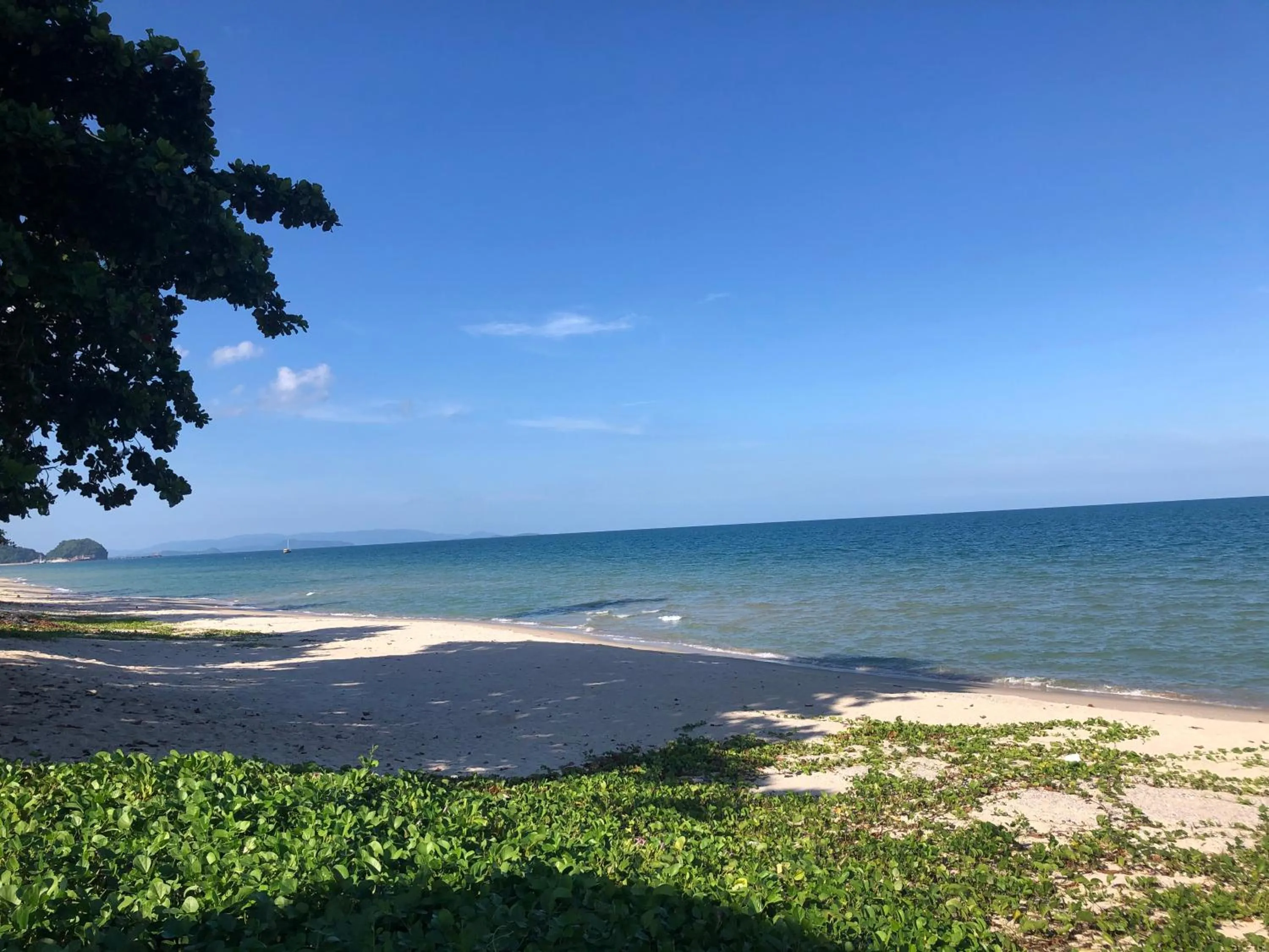 Natural landscape in Le Petit Saint Tropez