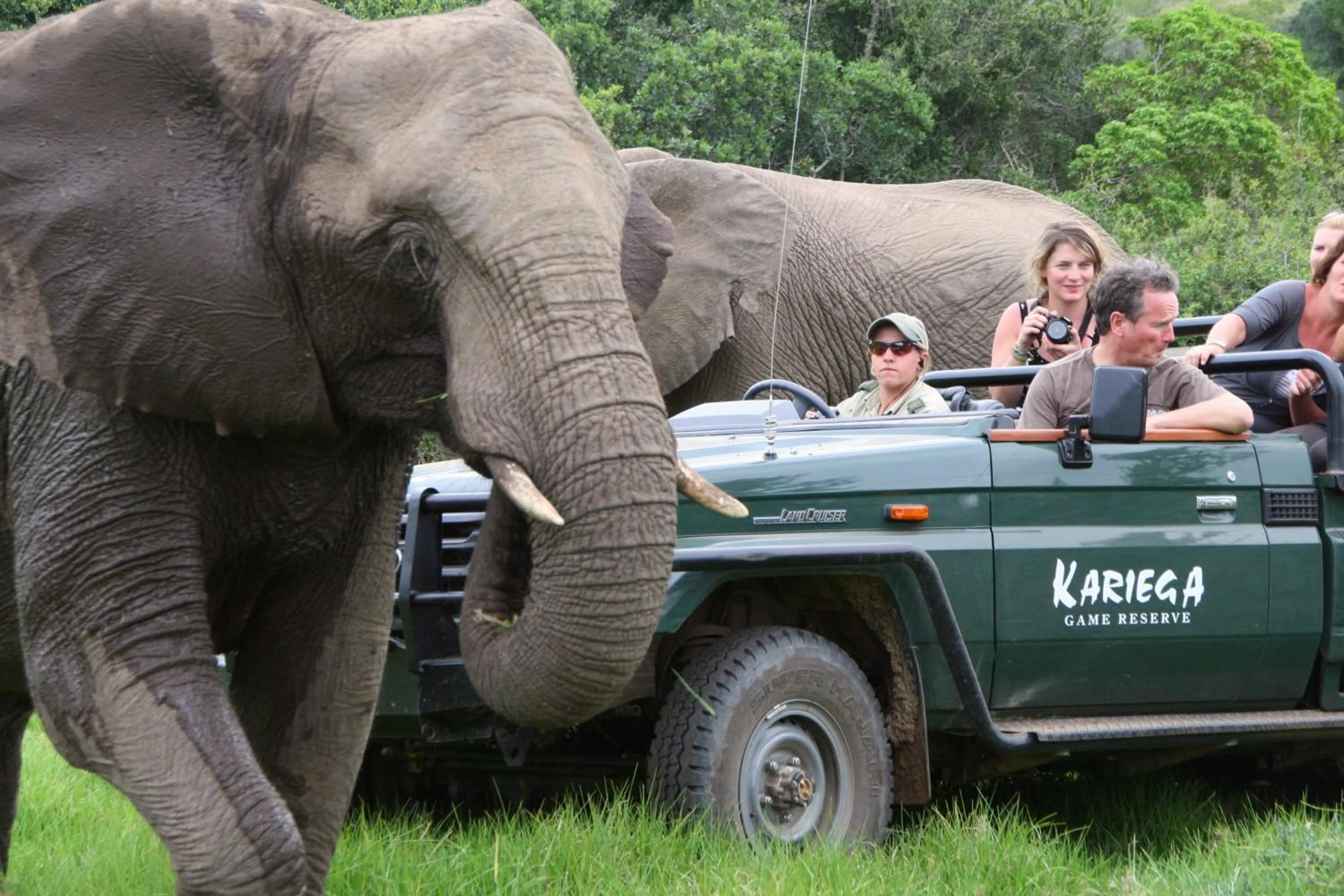Activities in Kariega Game Reserve Main Lodge