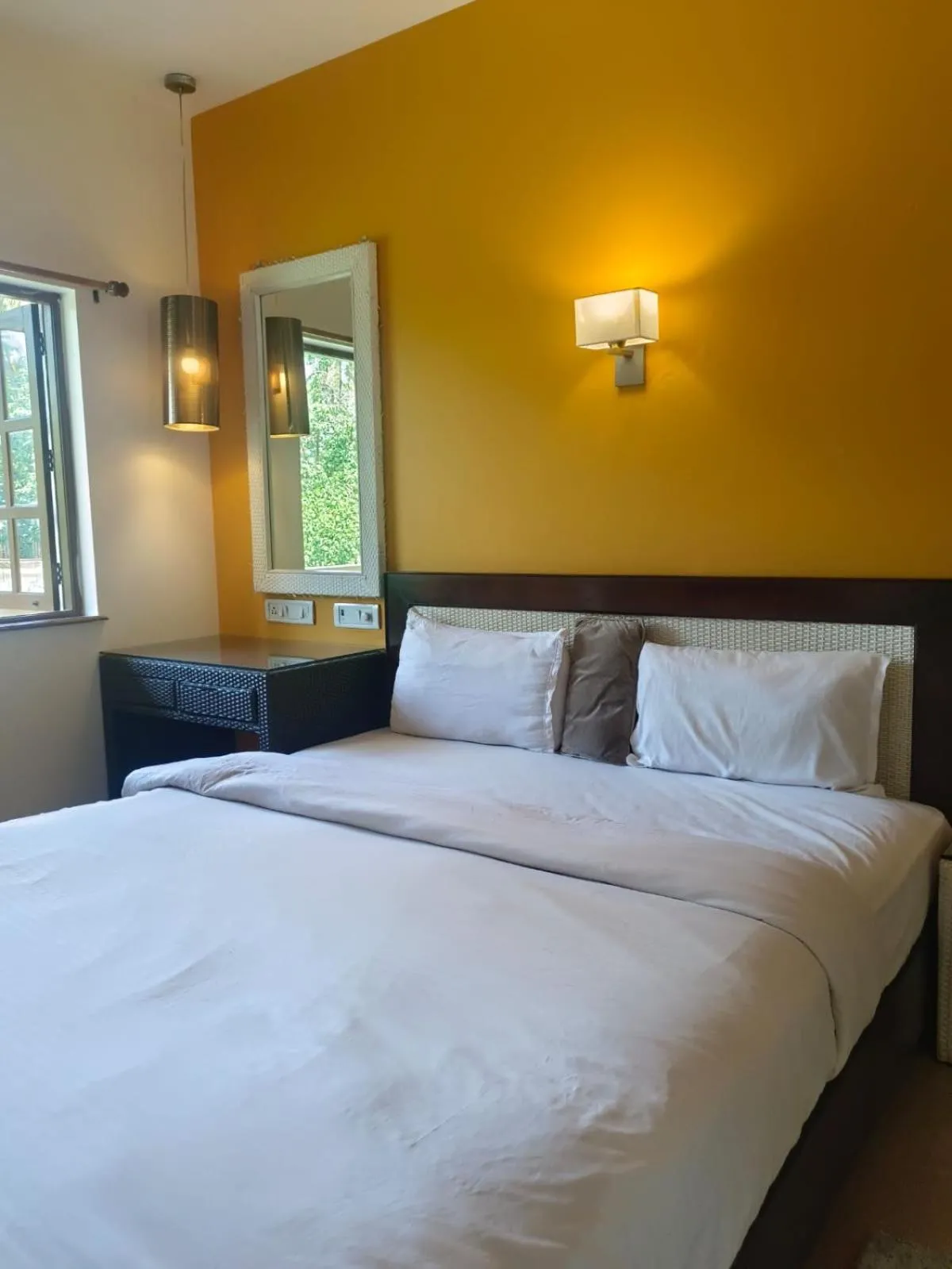 Economy Double Room in Hotel Coco Goa