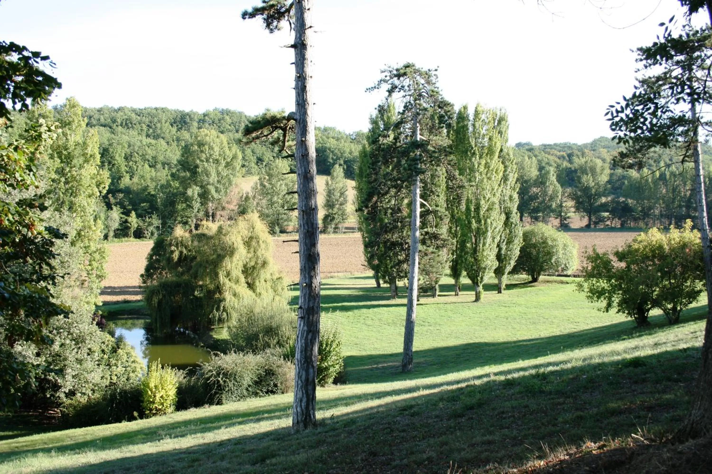 Garden view in Le Farat Bed & Breakfast
