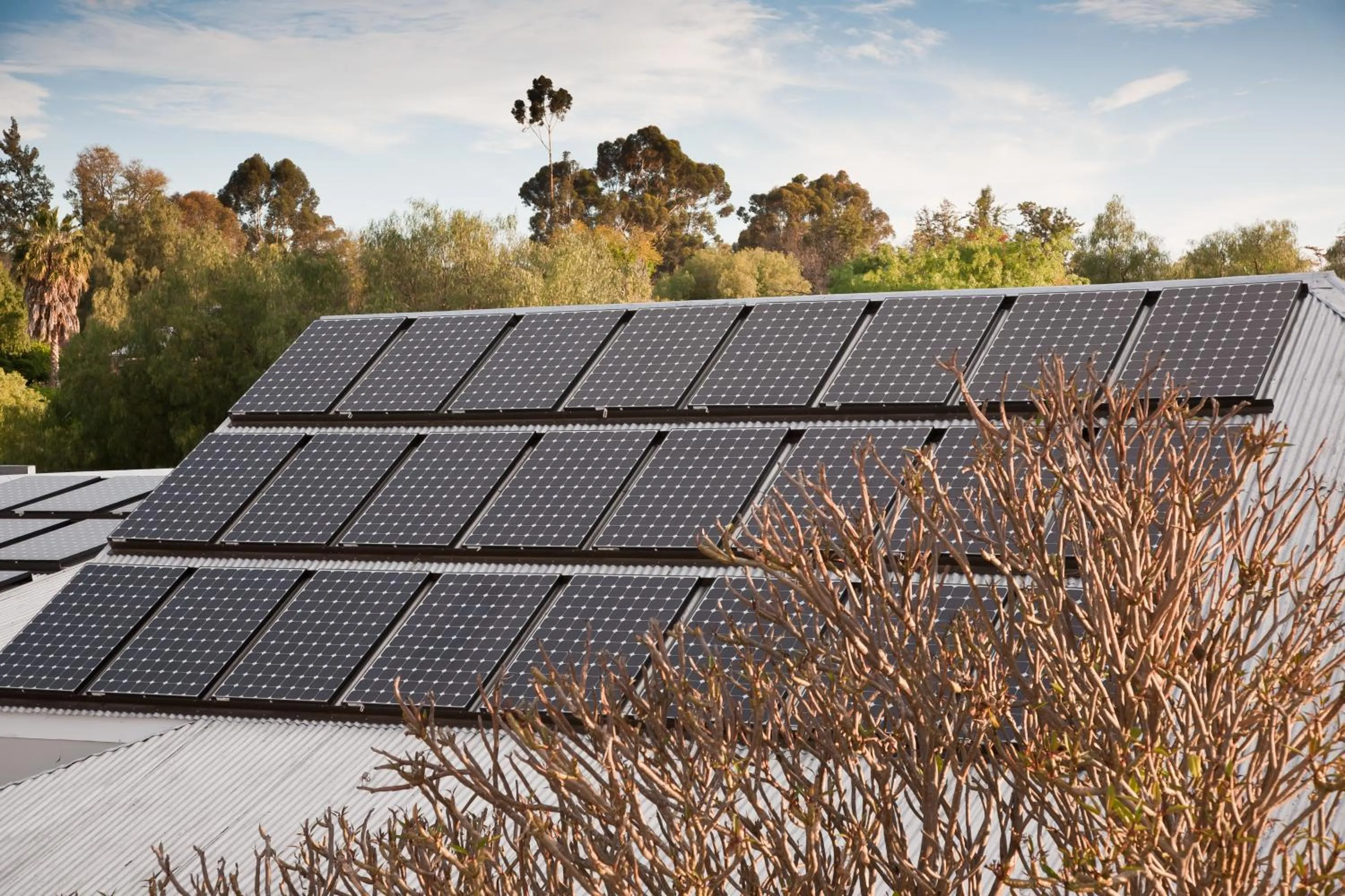 Bird's eye view in The Queen Of Calitzdorp