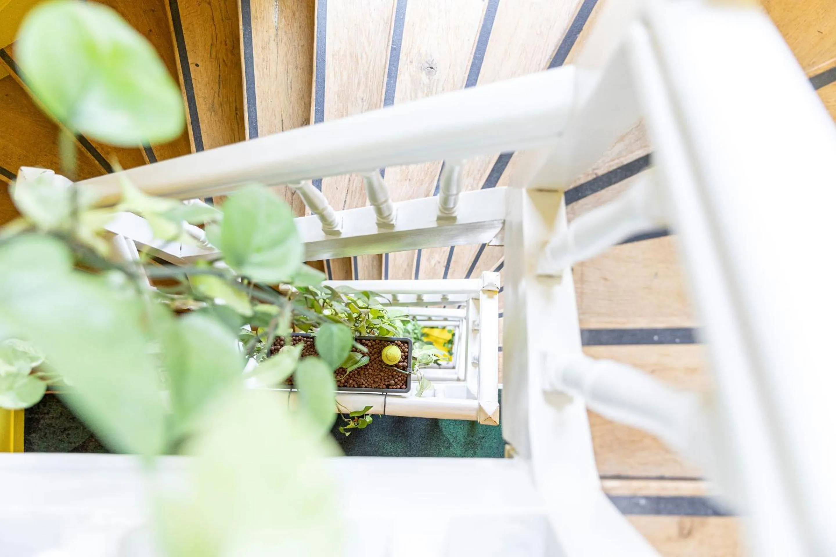 Decorative detail in Hotel Olympic Paris Boulogne by Patrick Hayat