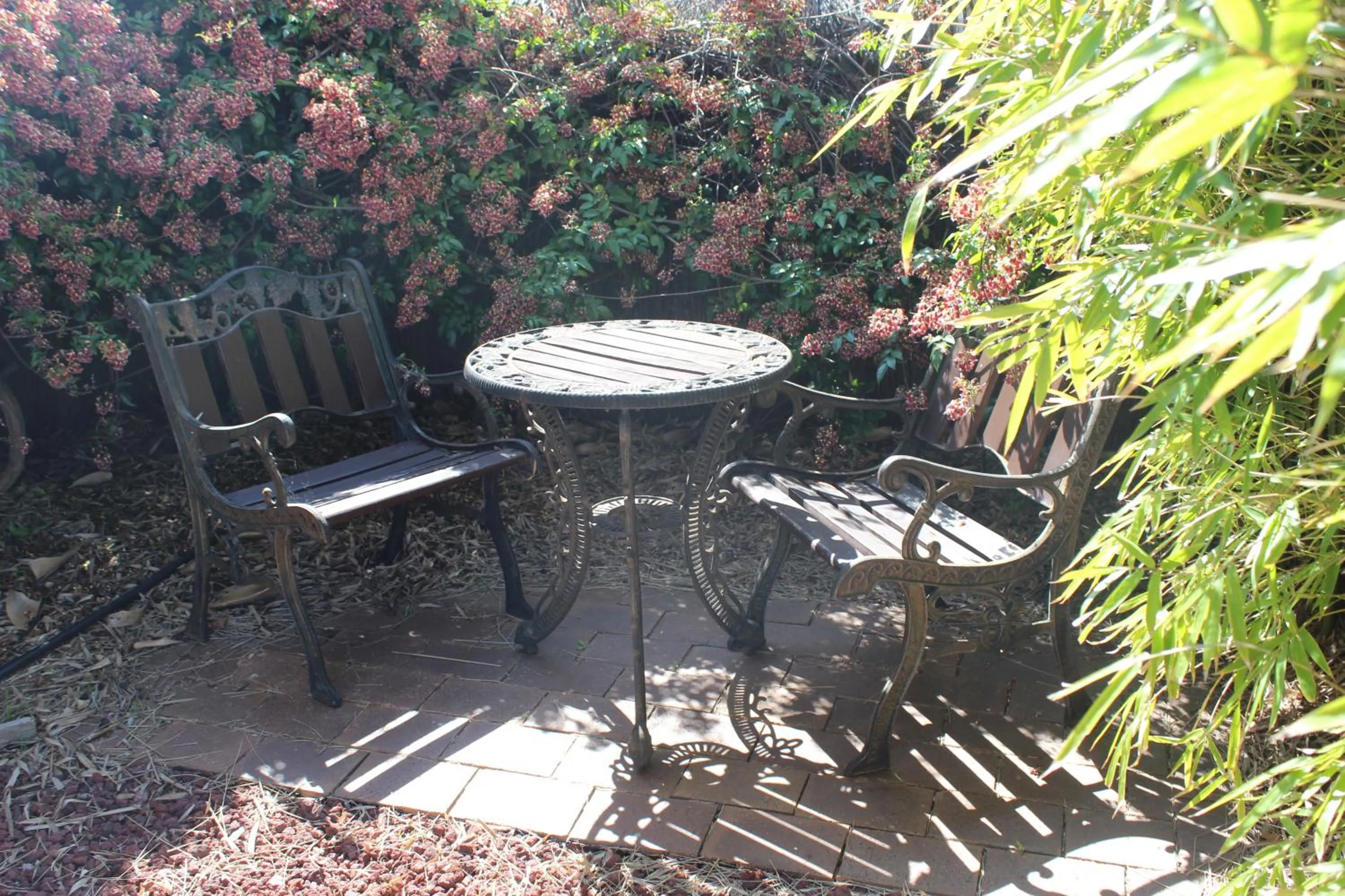 Garden in Golden Grain Motor Inn