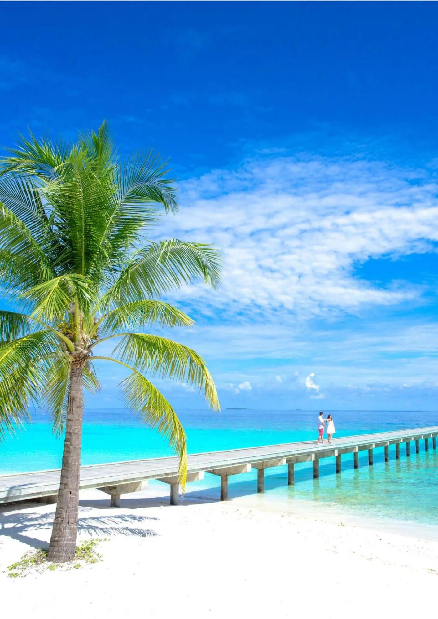 Ma-Blue Garden House