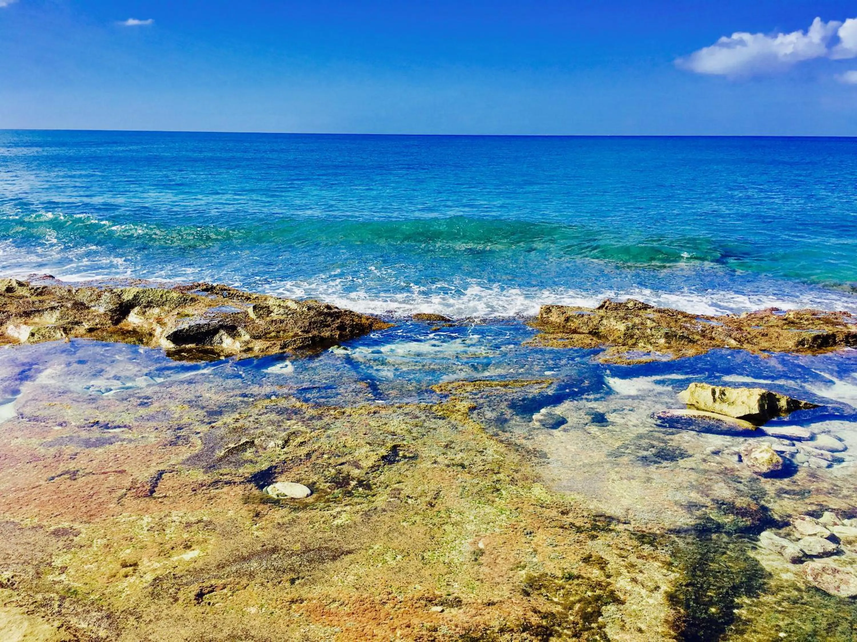 Other in Ma-Blue Garden House