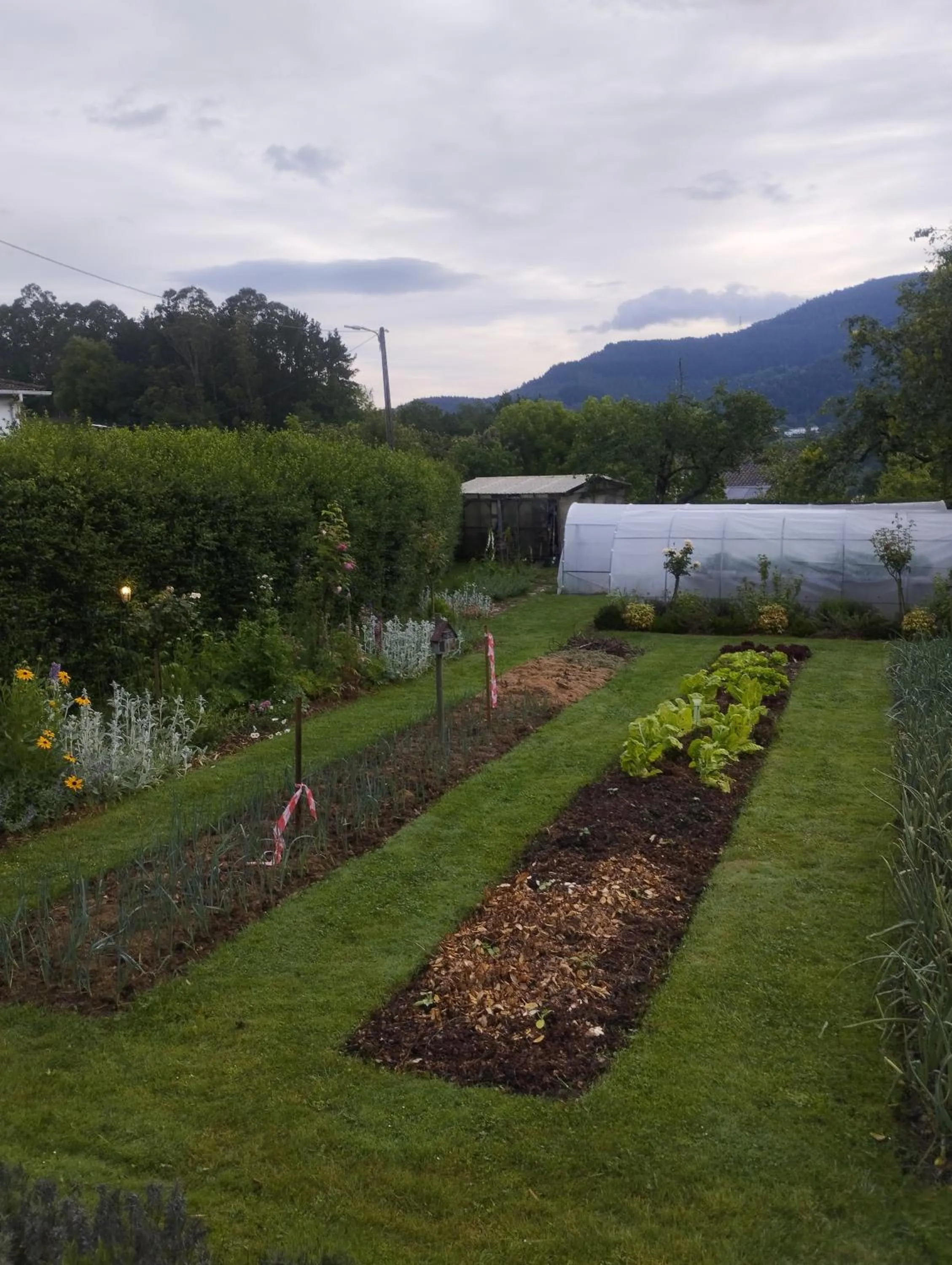 Caserío Areitz Soroa