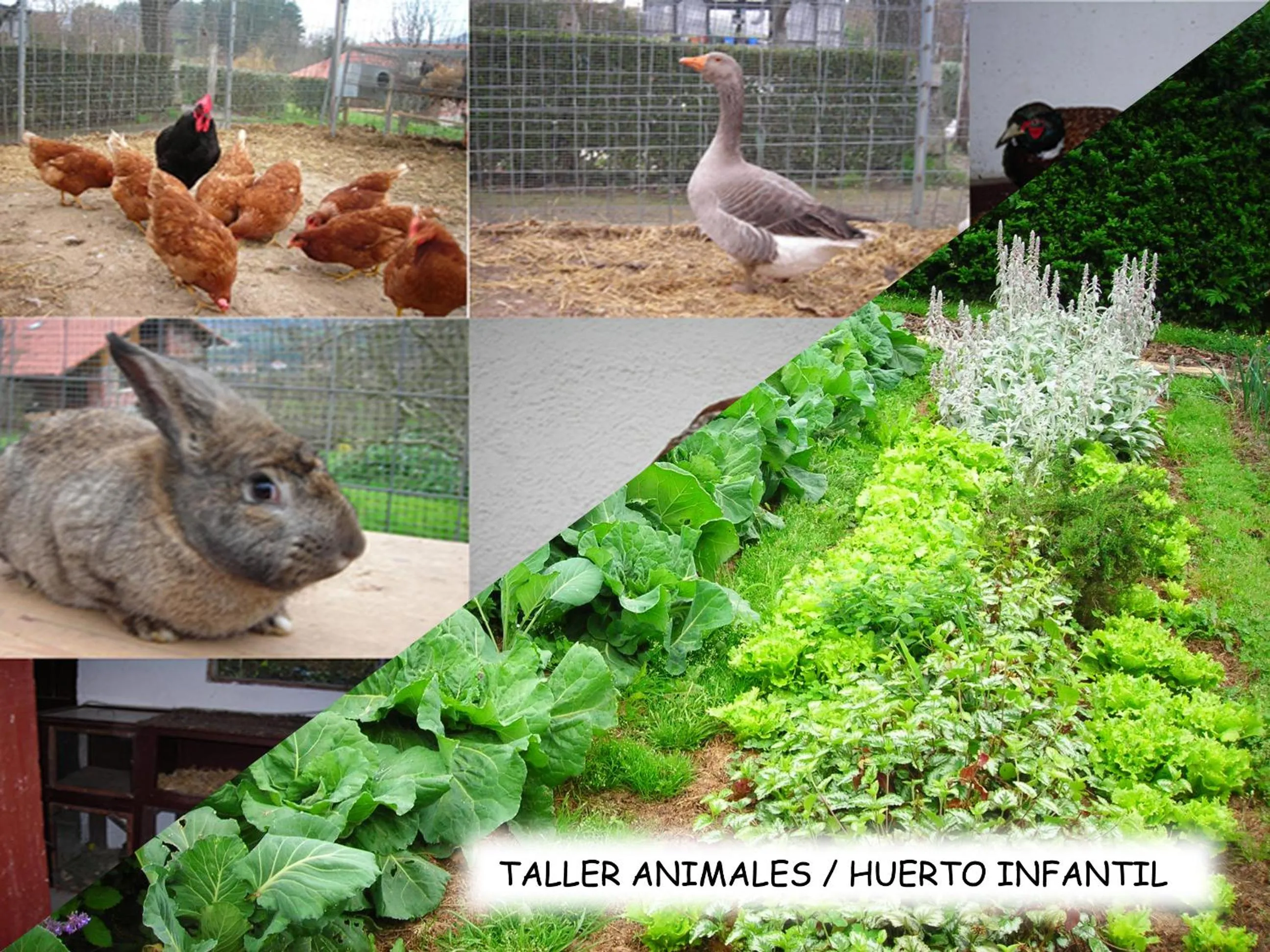 Activities in Albergue Areitz Soroa