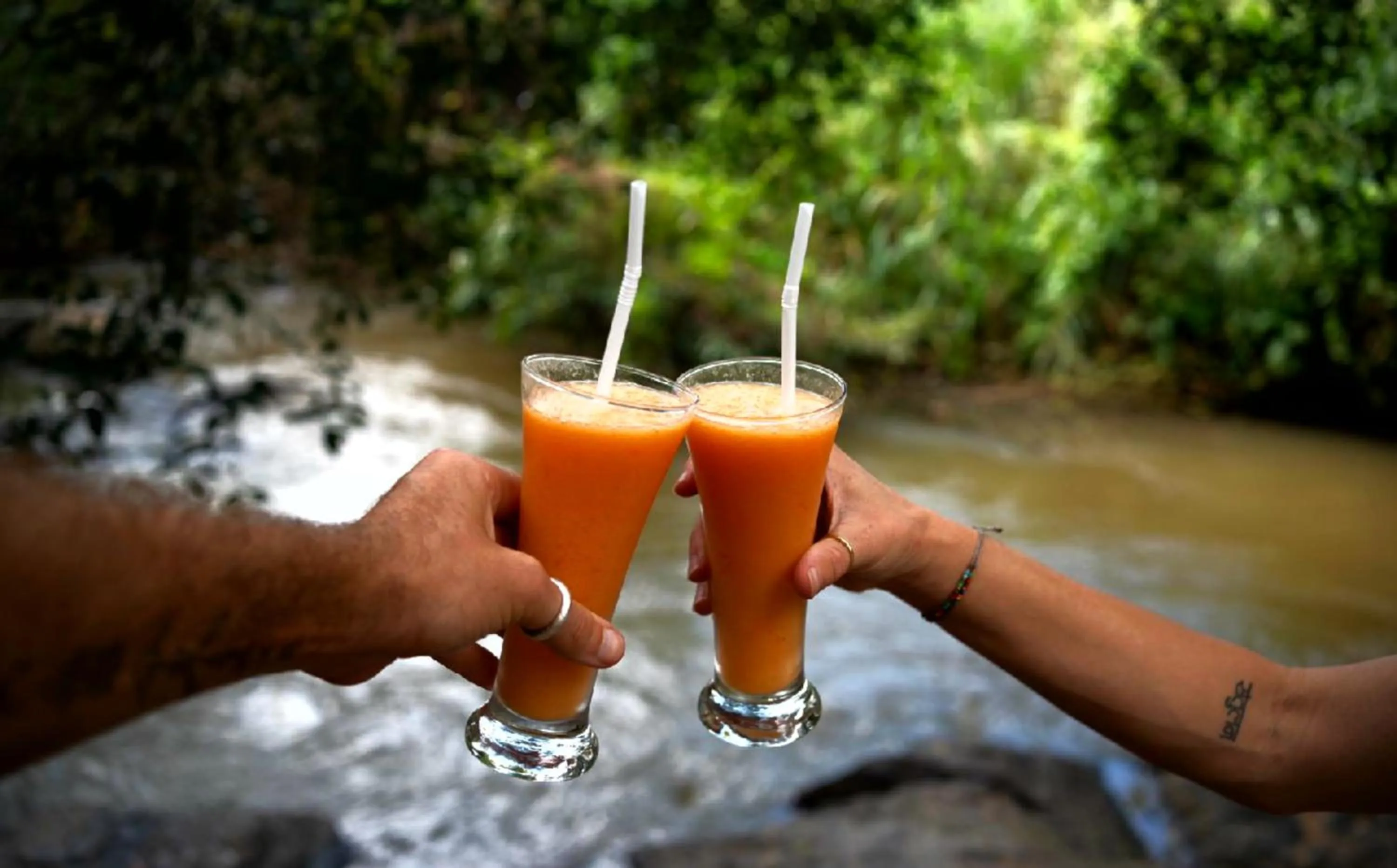 Day in Sigiriya River Side Villa