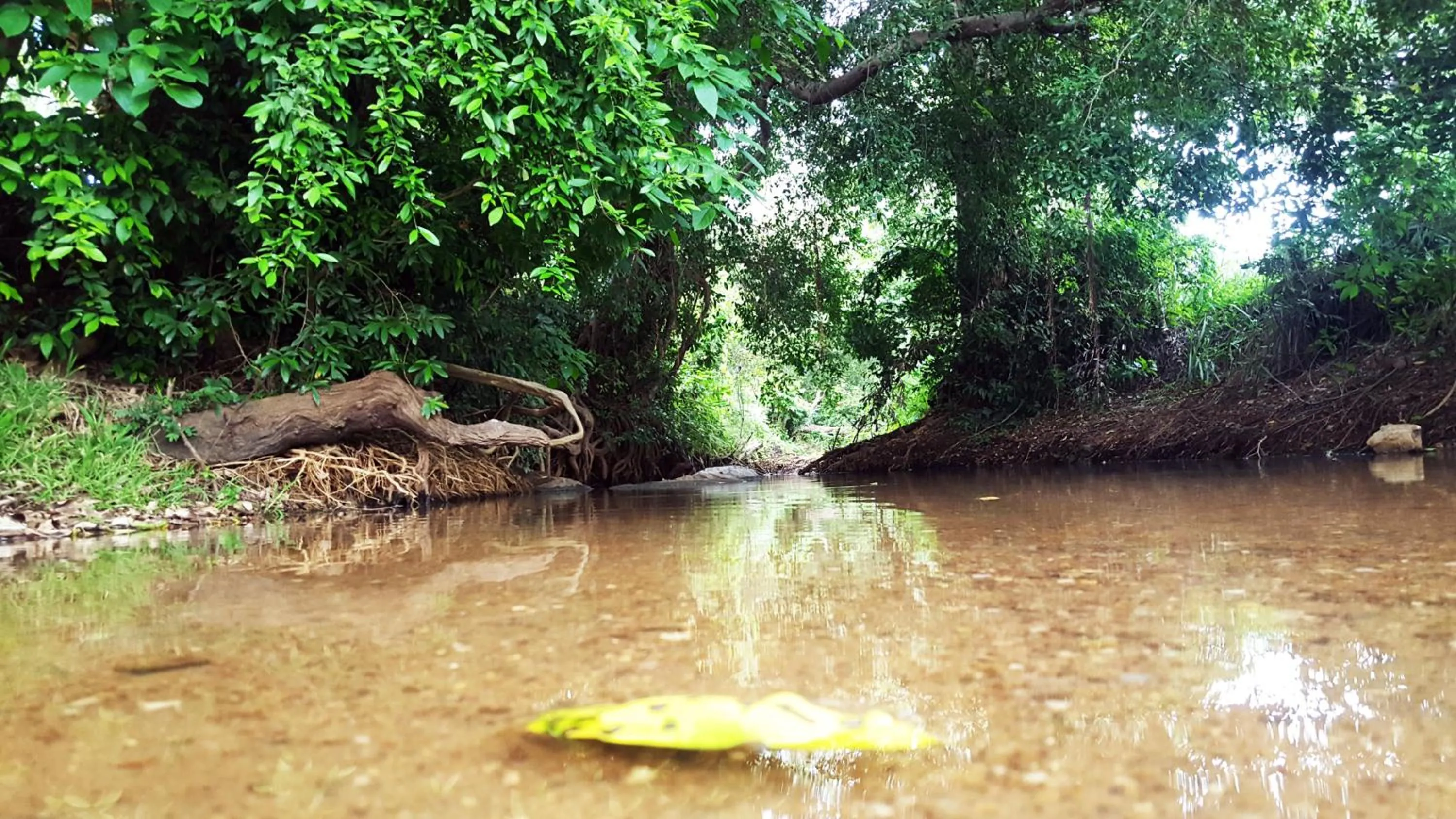 Activities in Sigiriya River Side Villa