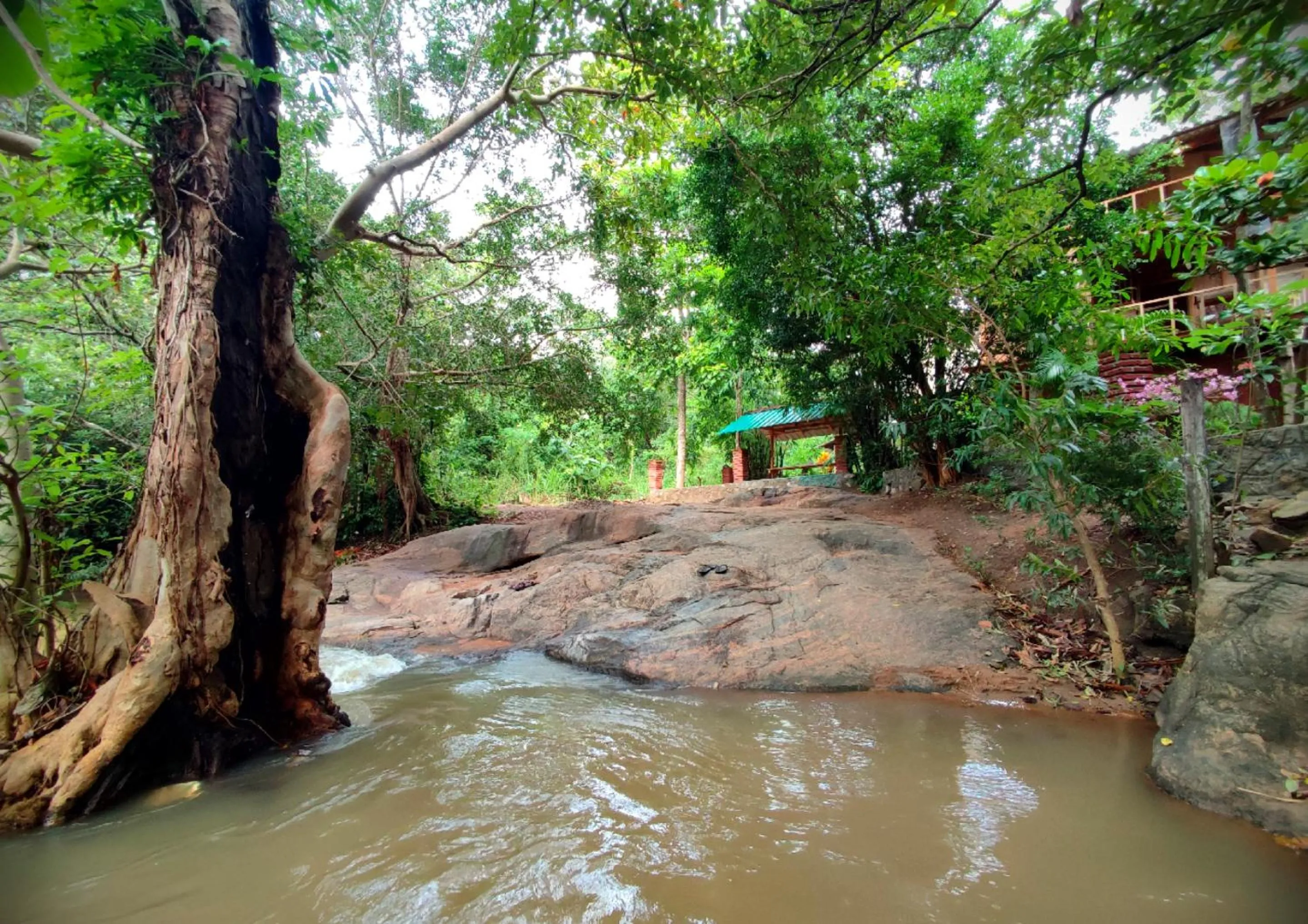 Day in Sigiriya River Side Villa