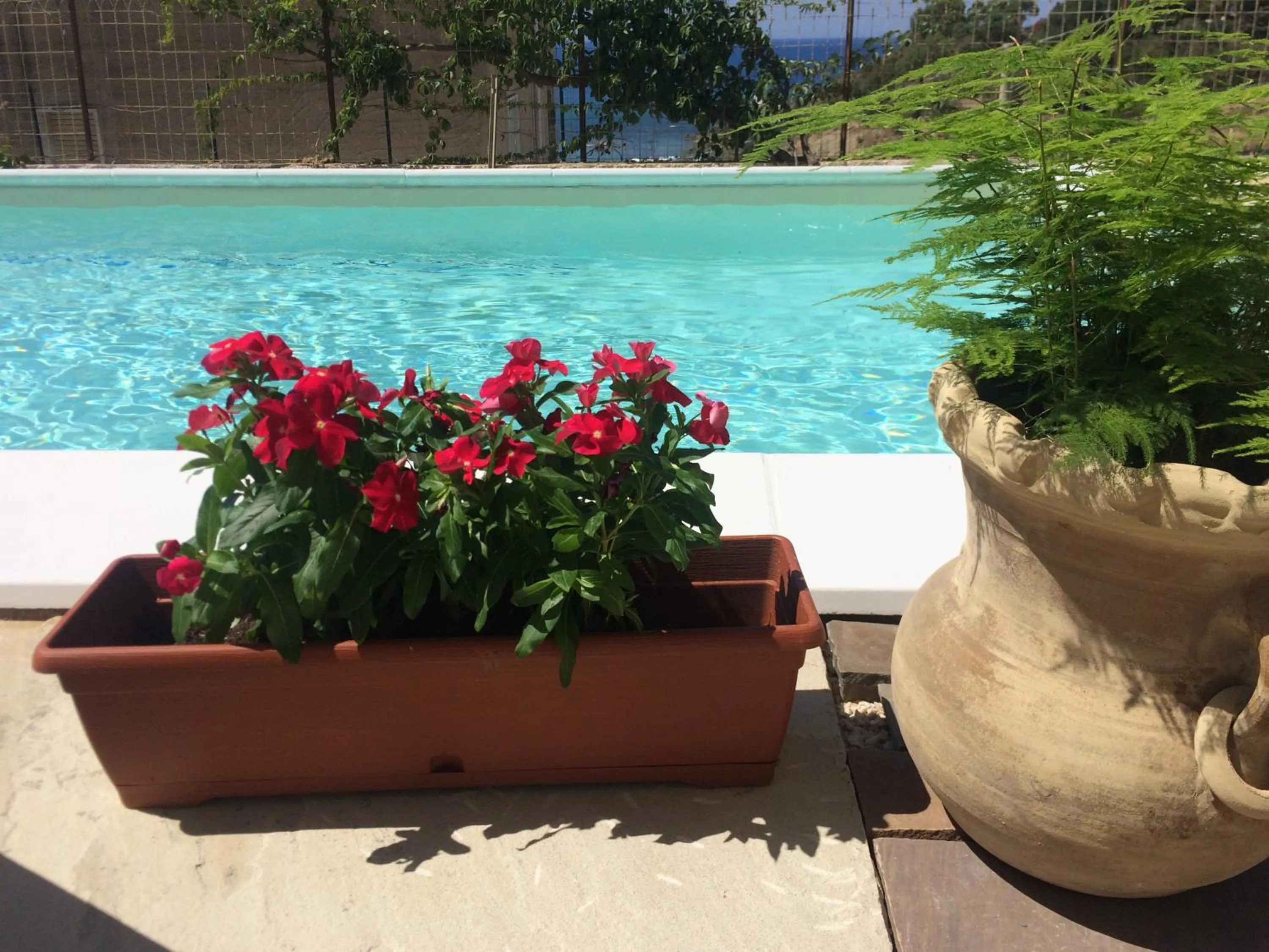 Garden in Cala Arenella