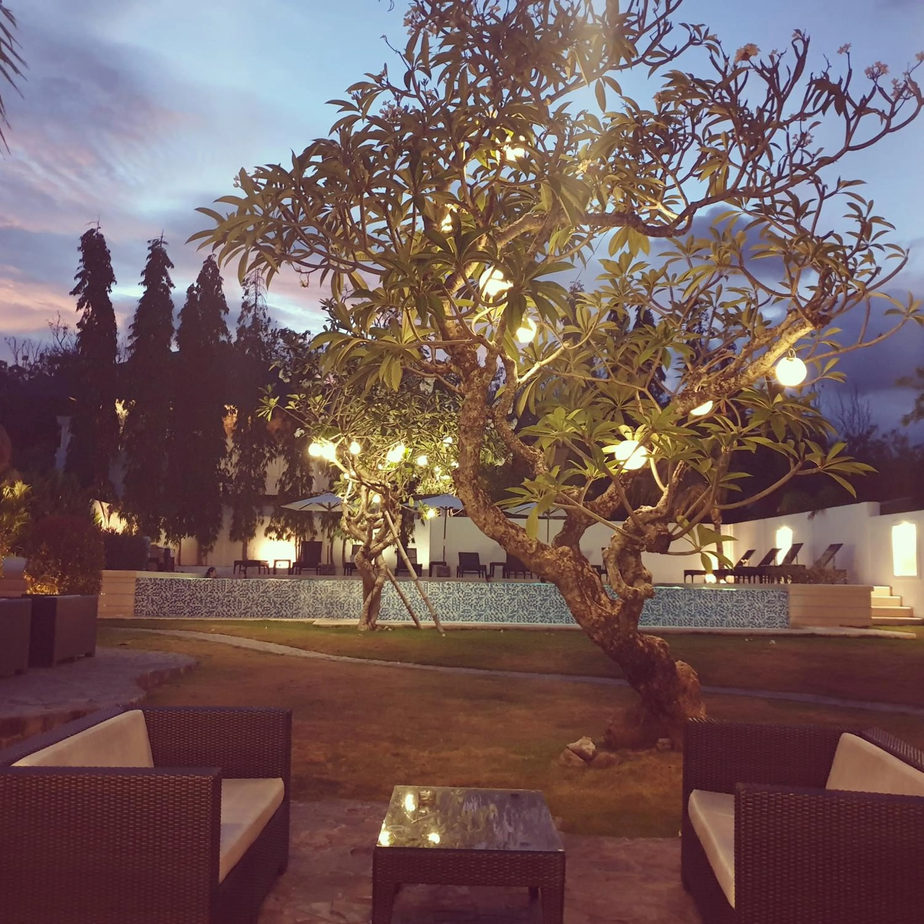 Garden in Liquid Dive Resort