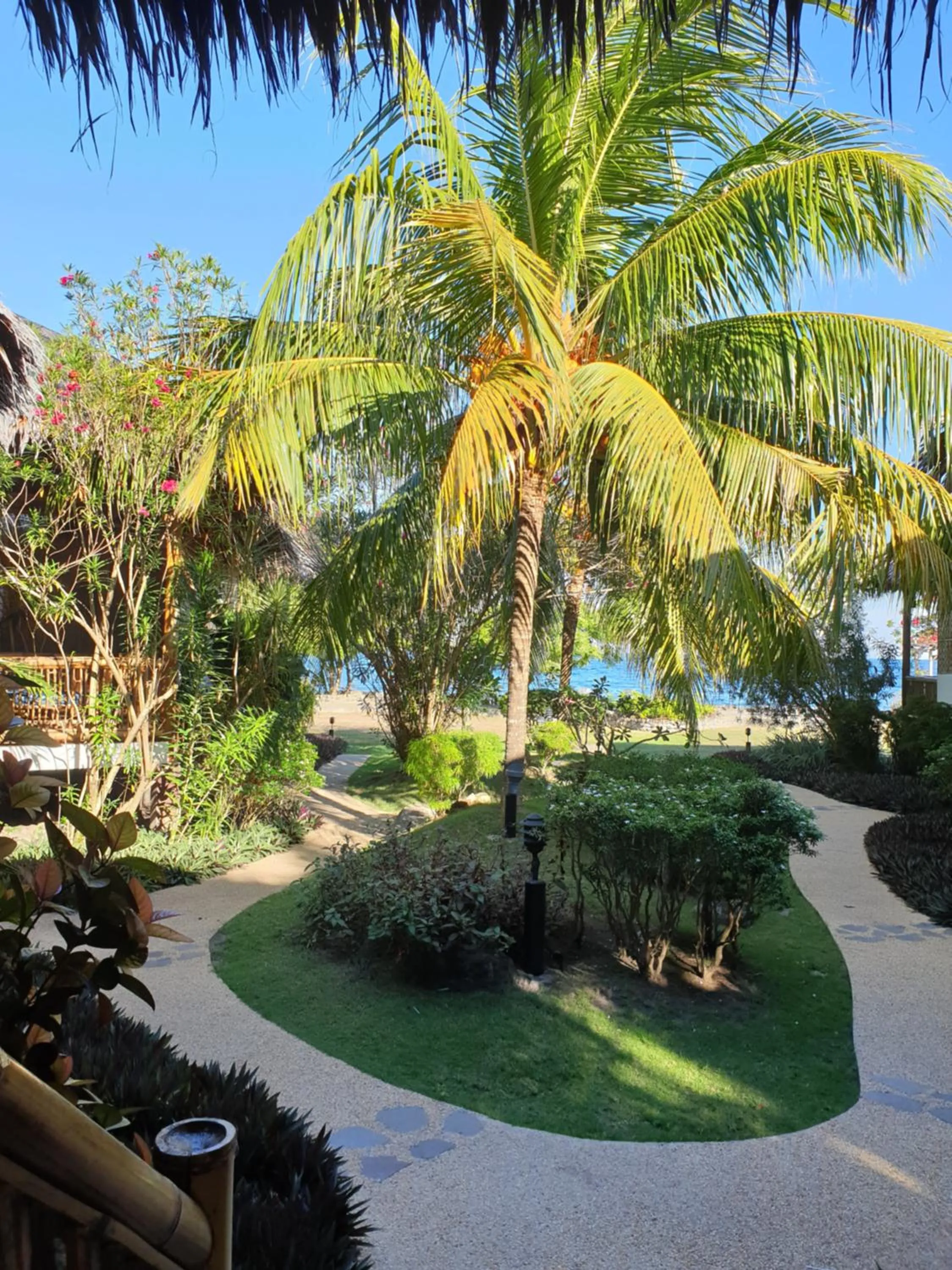 Garden in Liquid Dive Resort