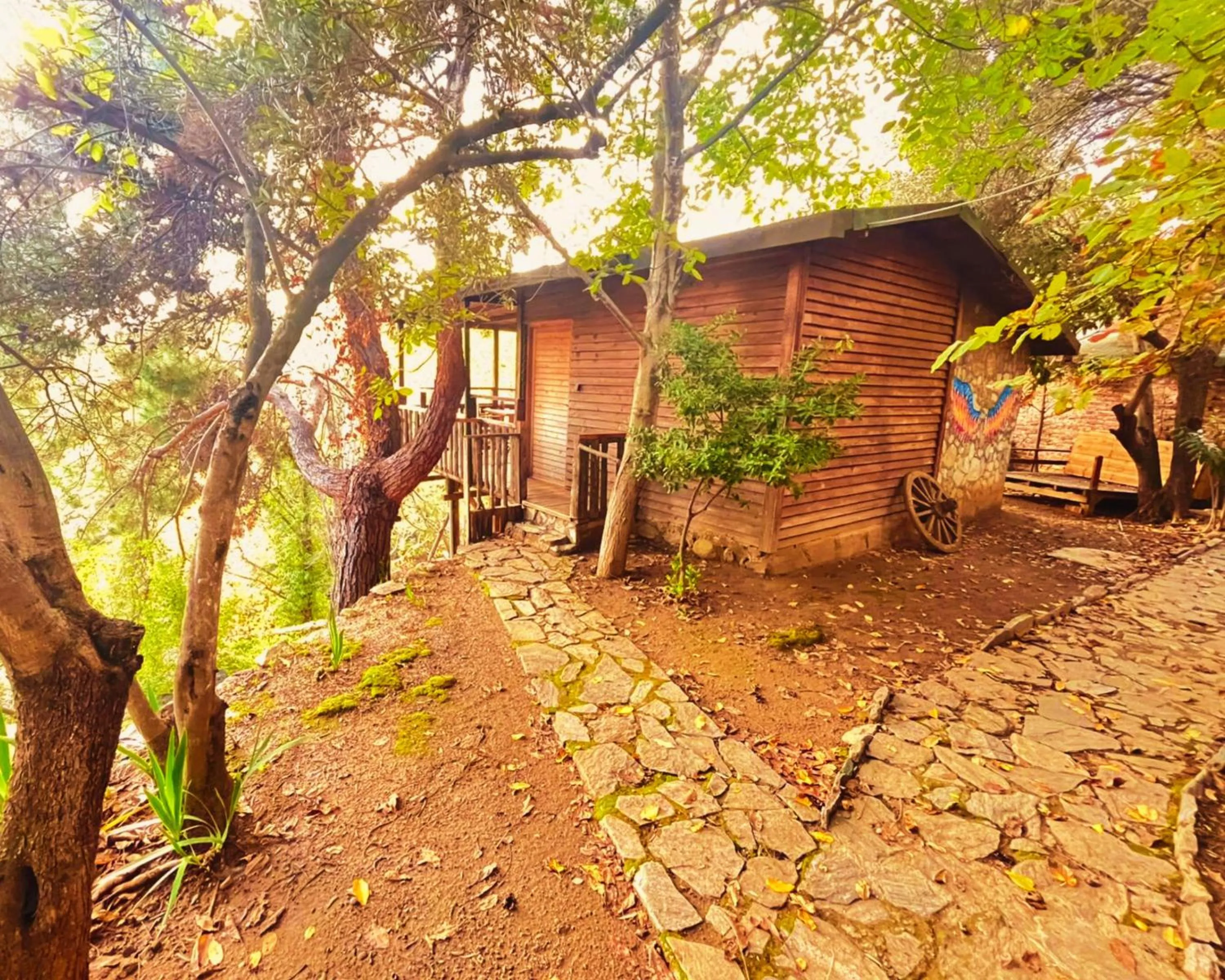 Superior Double Room in Kybele Nature Life