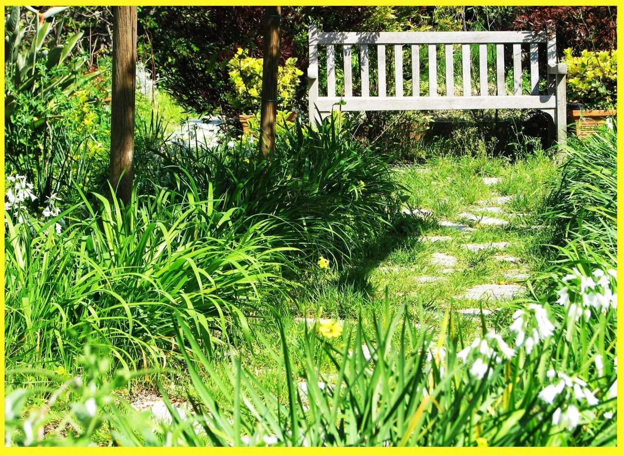 Garden in B&B La Salamandra Kitchengarden