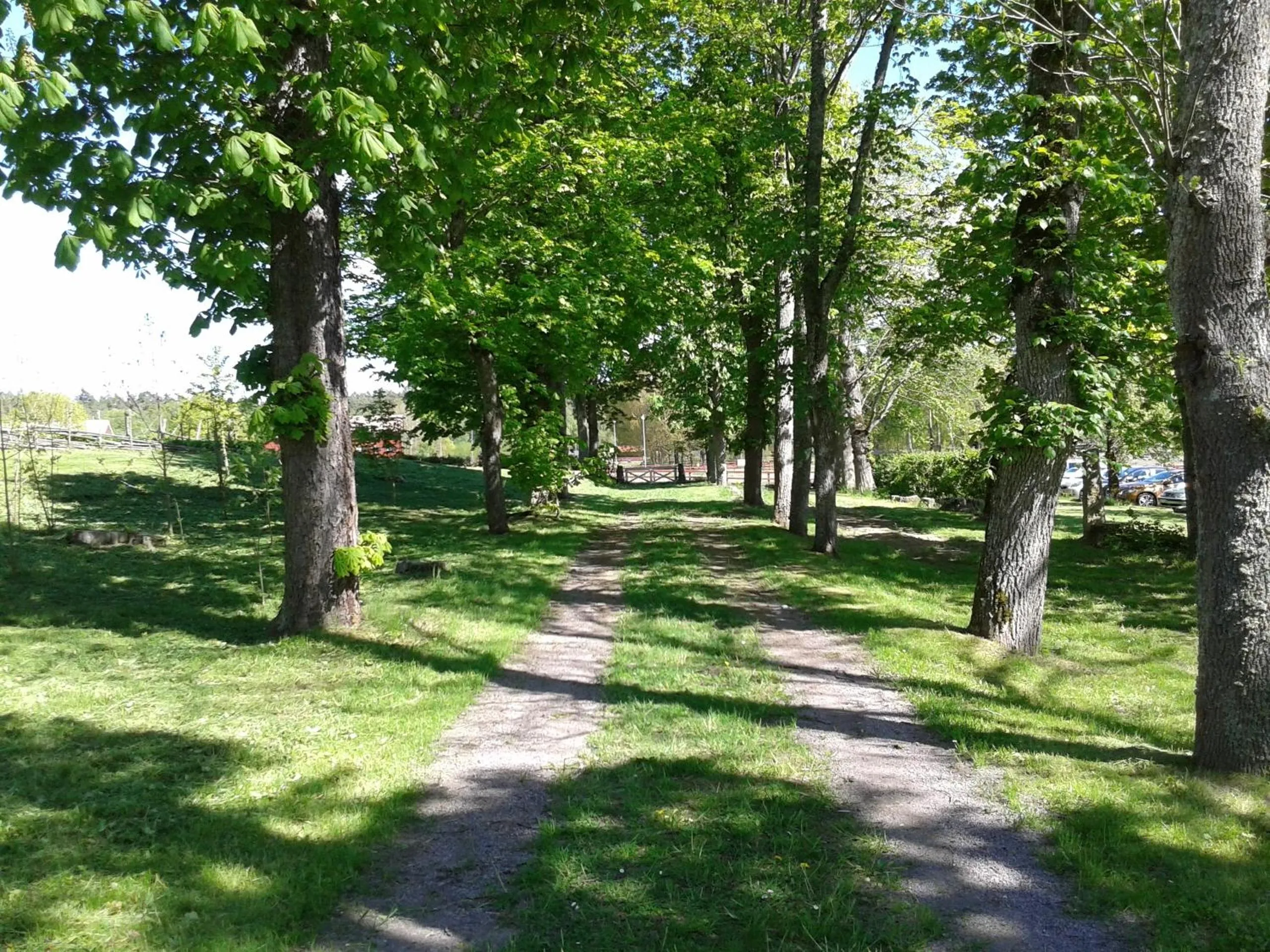 Garden in Valla Folkhögskola