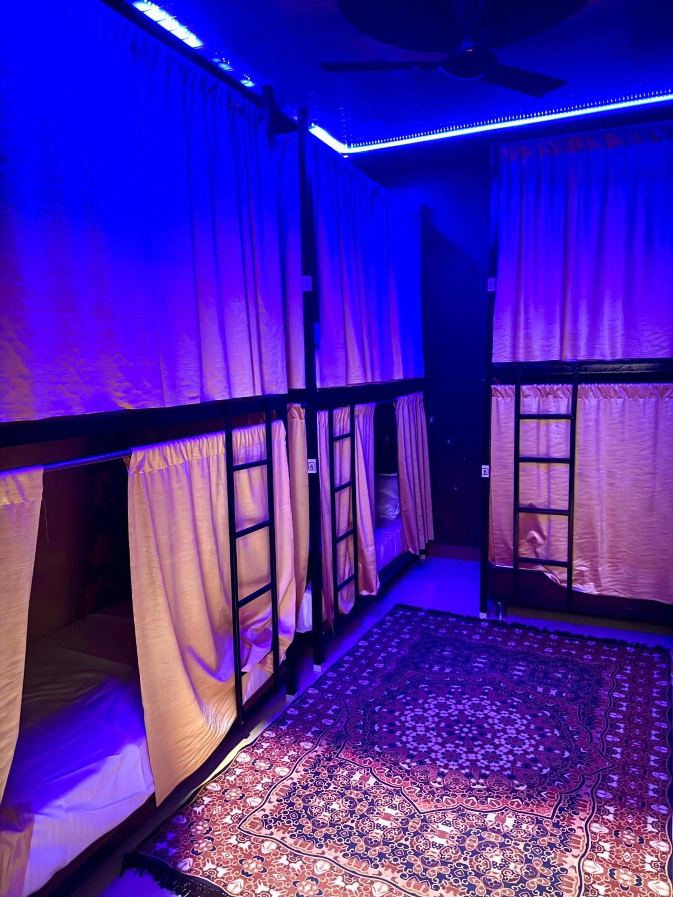 Bed in 8-Bed Mixed Dormitory Room in Amritsar Backpackers Hostel