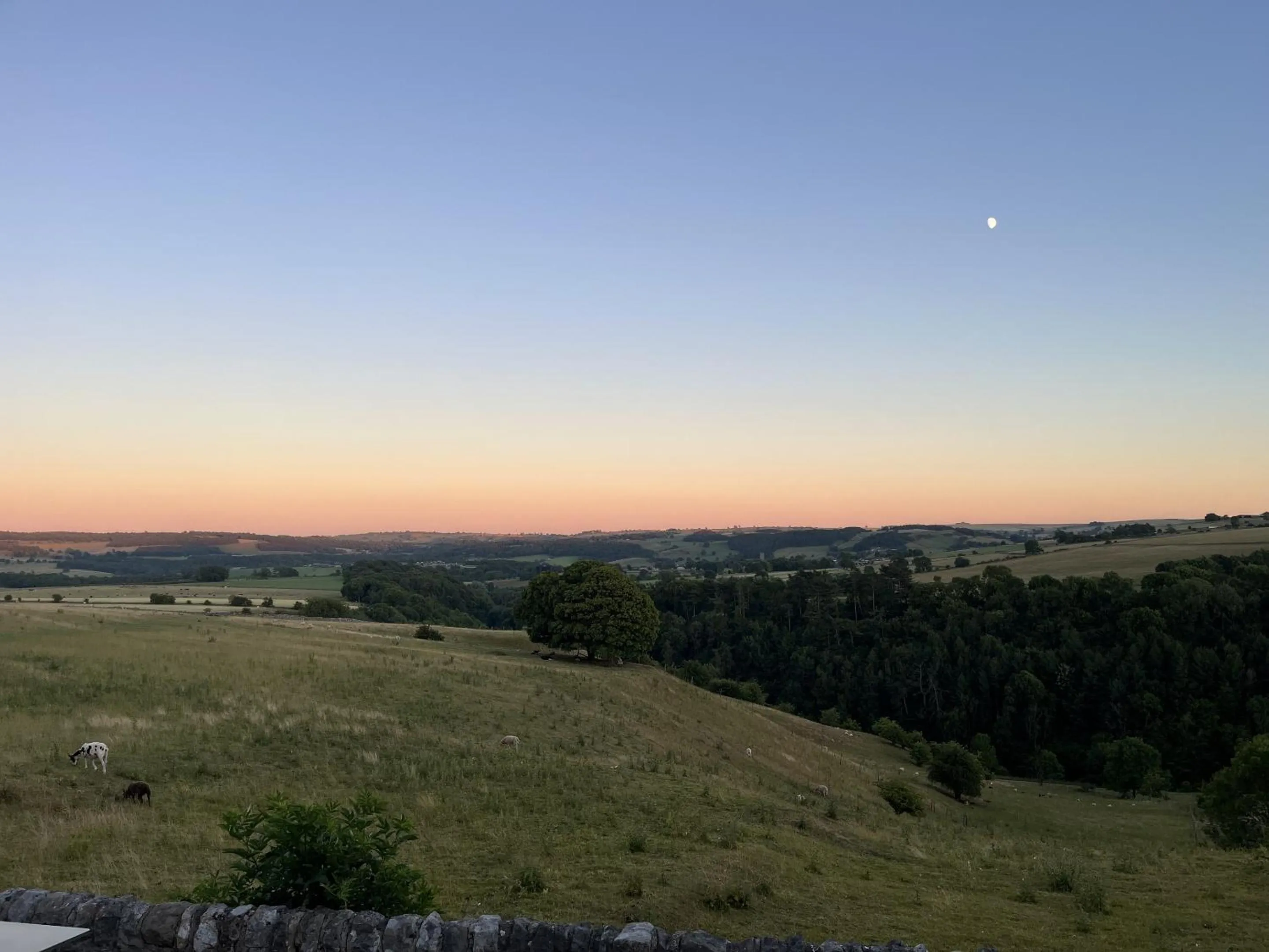 View (from property/room) in Lathkil Hotel