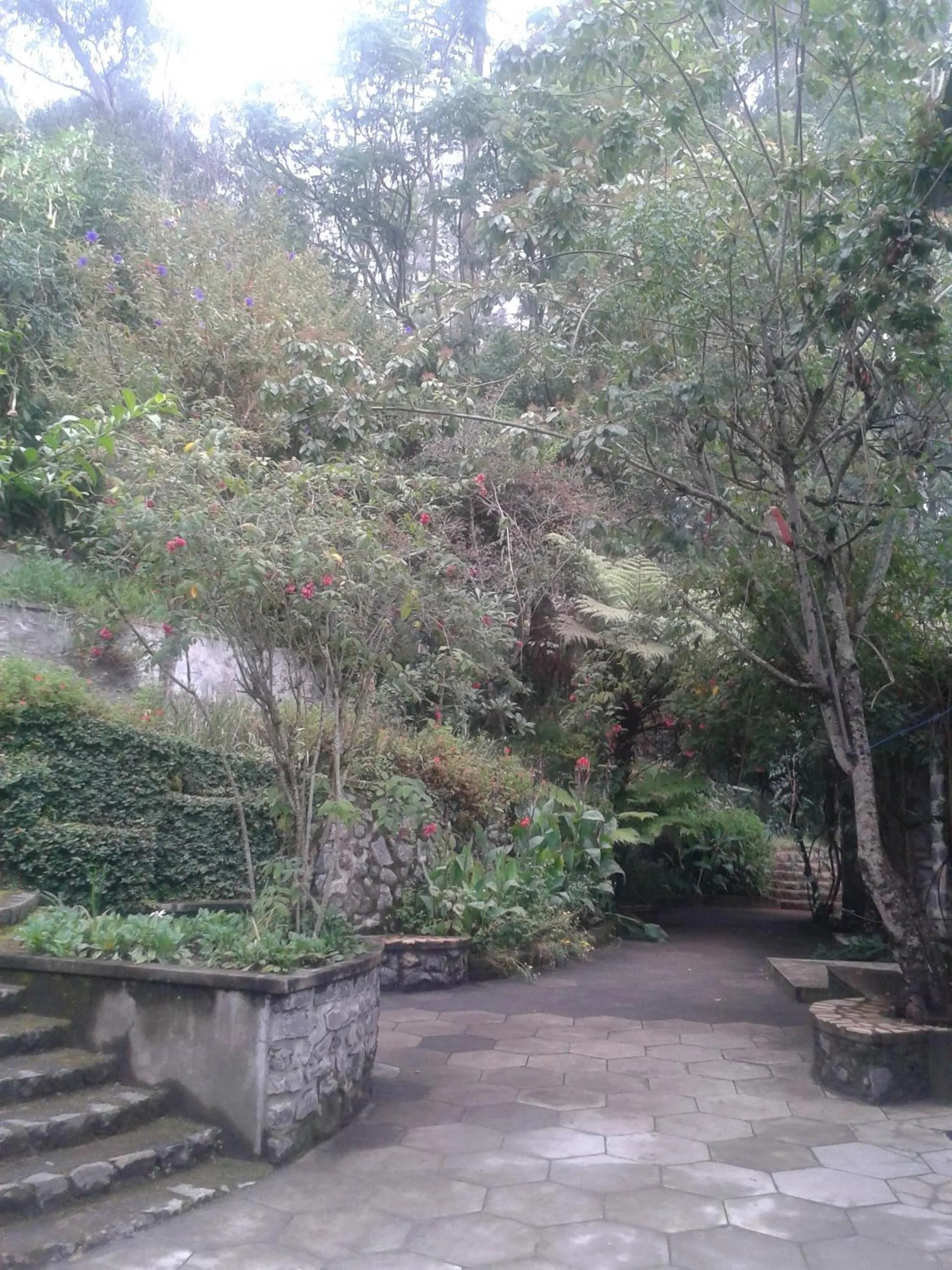 Day in Lilly's Valley Resort