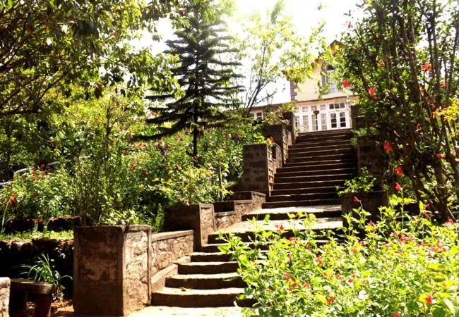 Lilly's Valley Resort