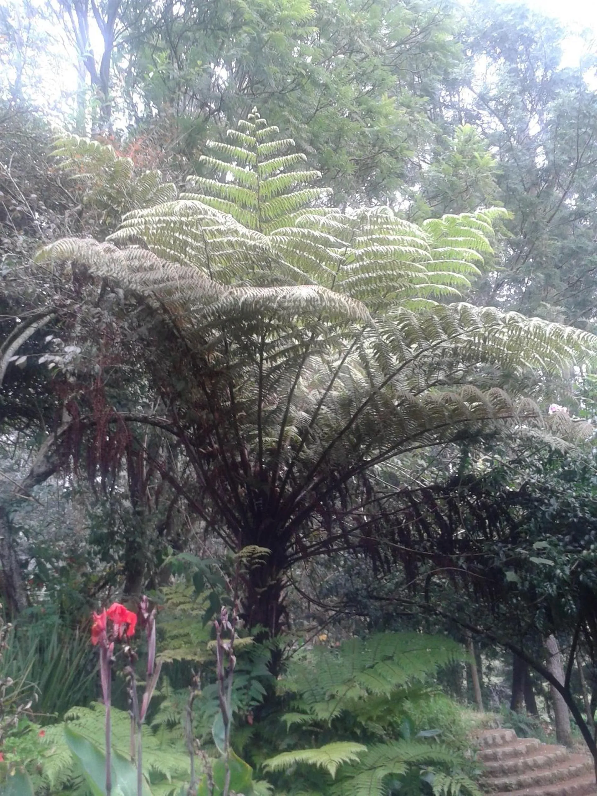 Other in Lilly's Valley Resort