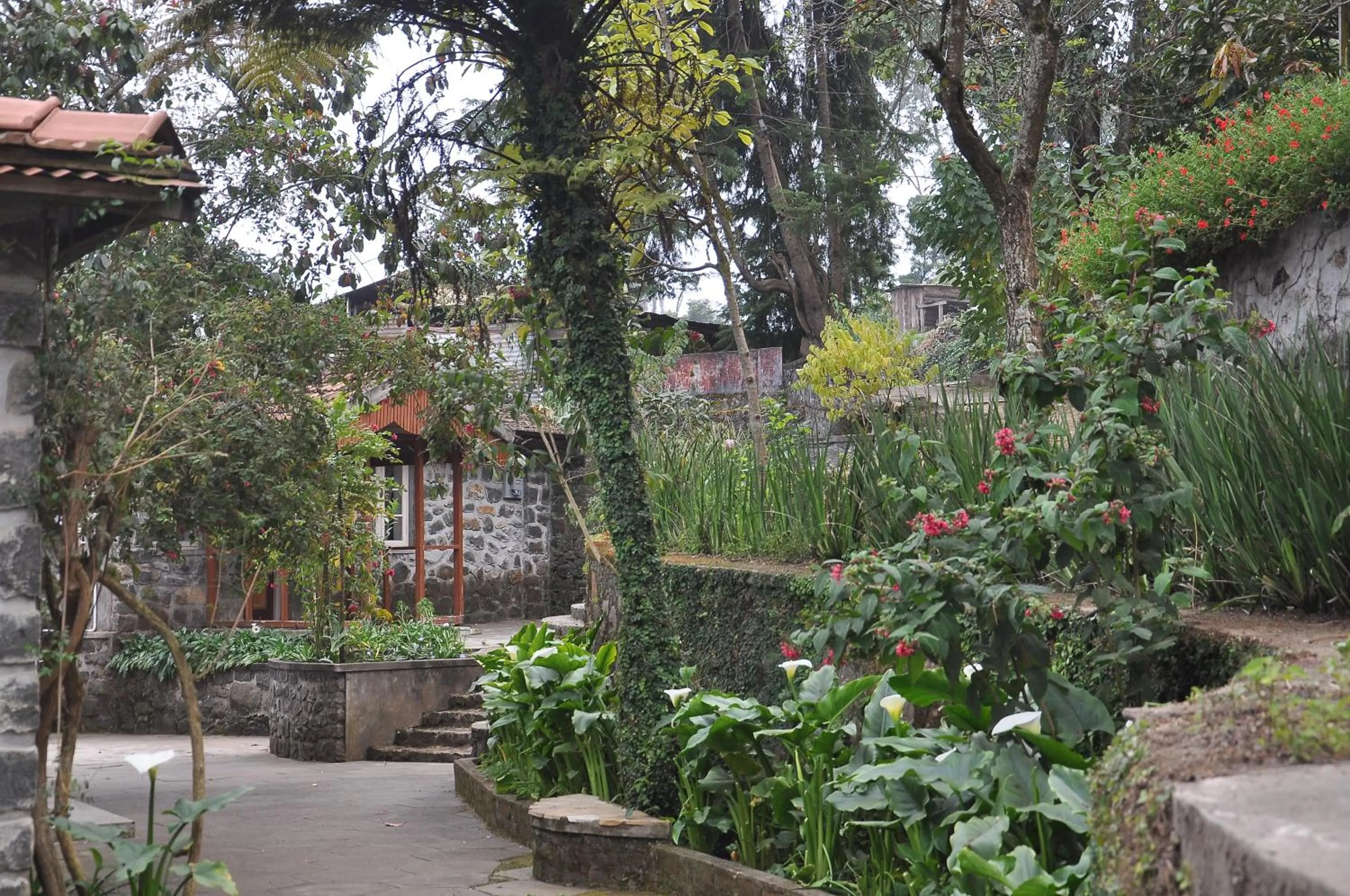 Lilly's Valley Resort