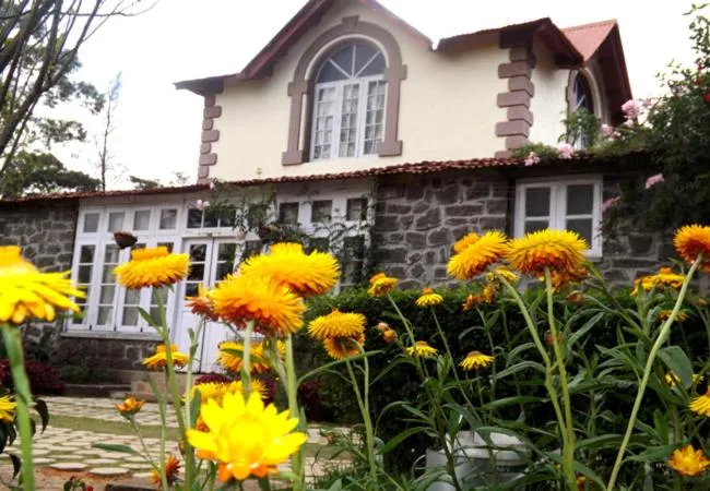 Property building in Lilly's Valley Resort