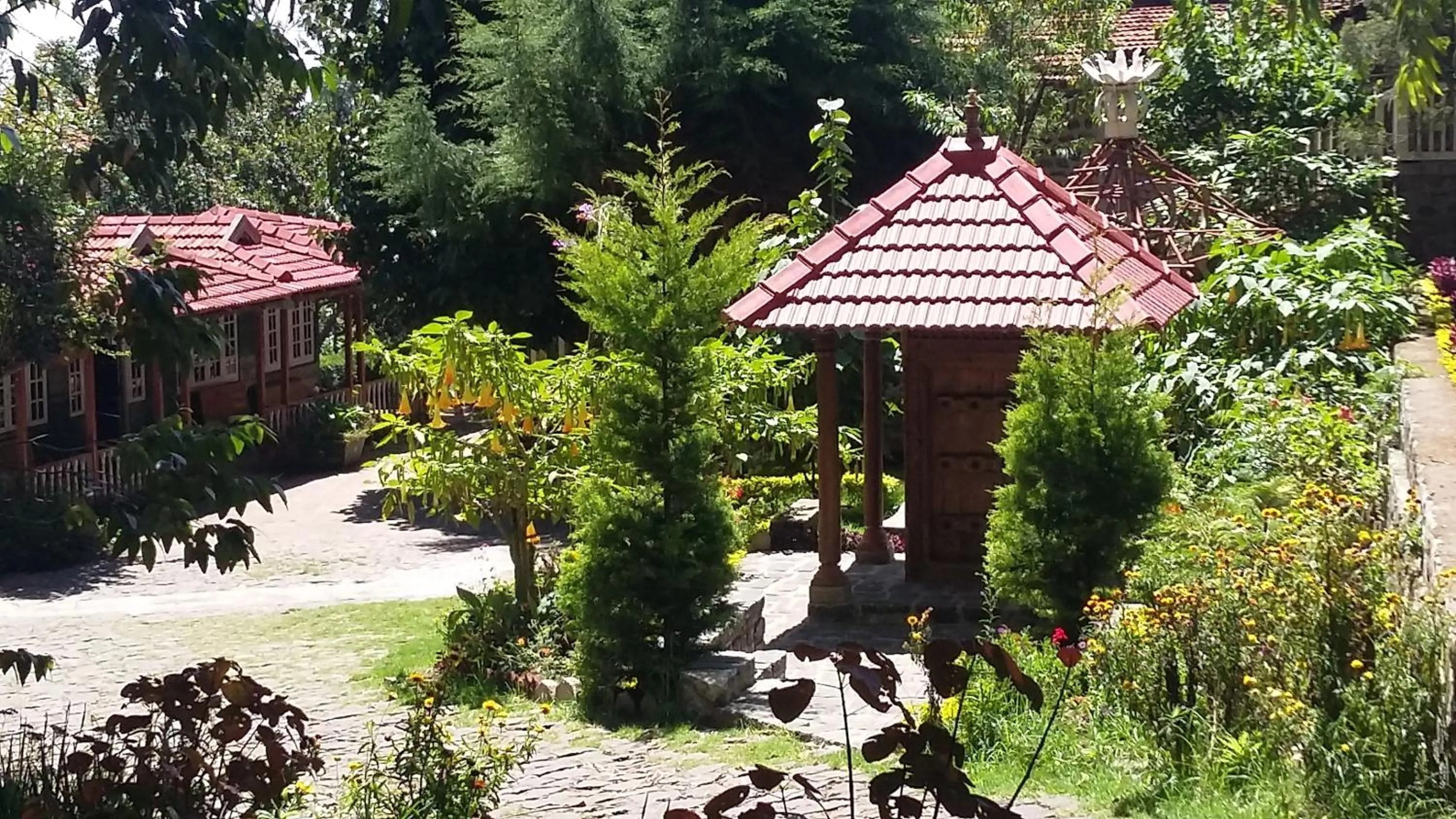 Day in Lilly's Valley Resort