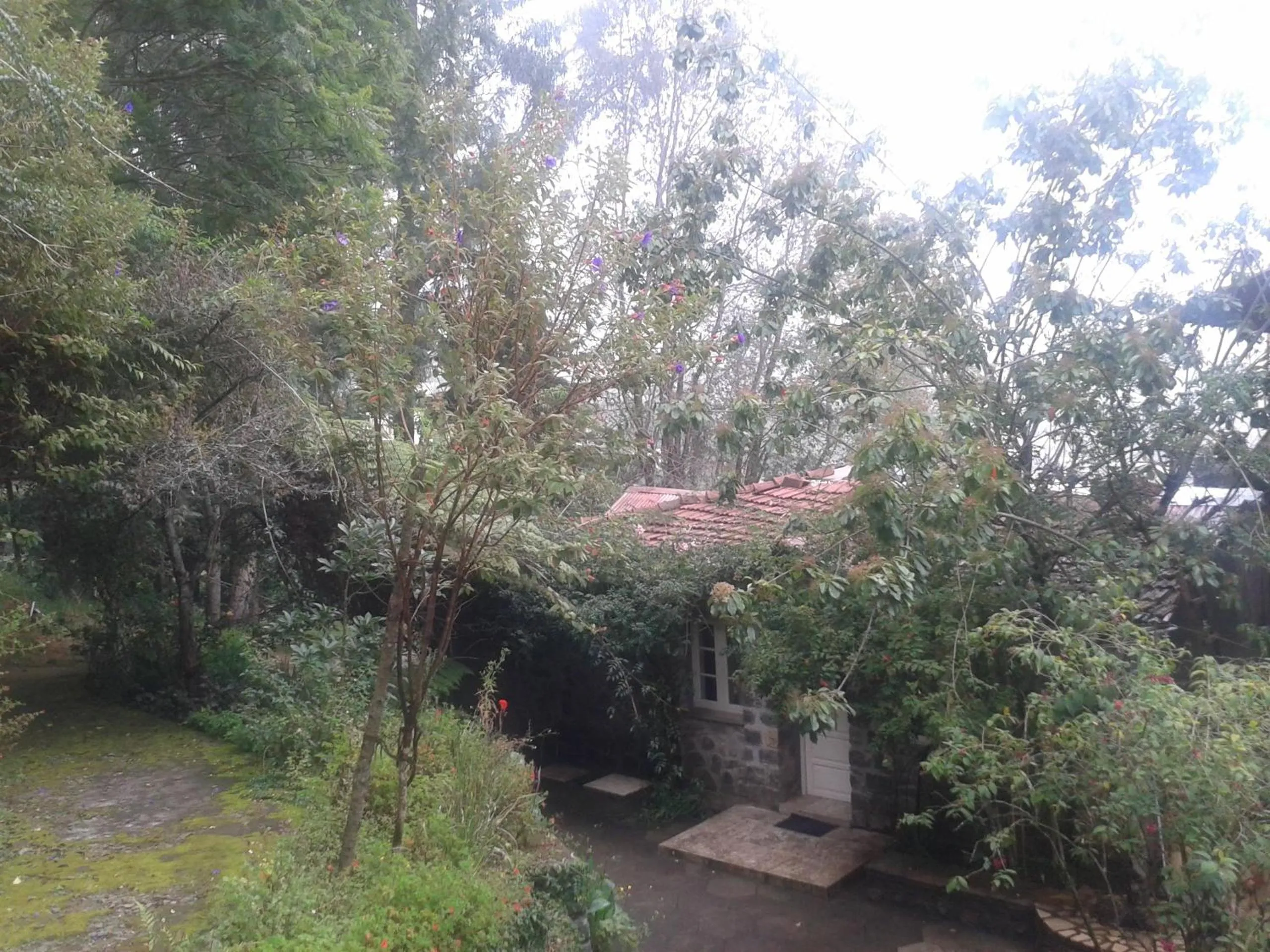 Facade/entrance in Lilly's Valley Resort