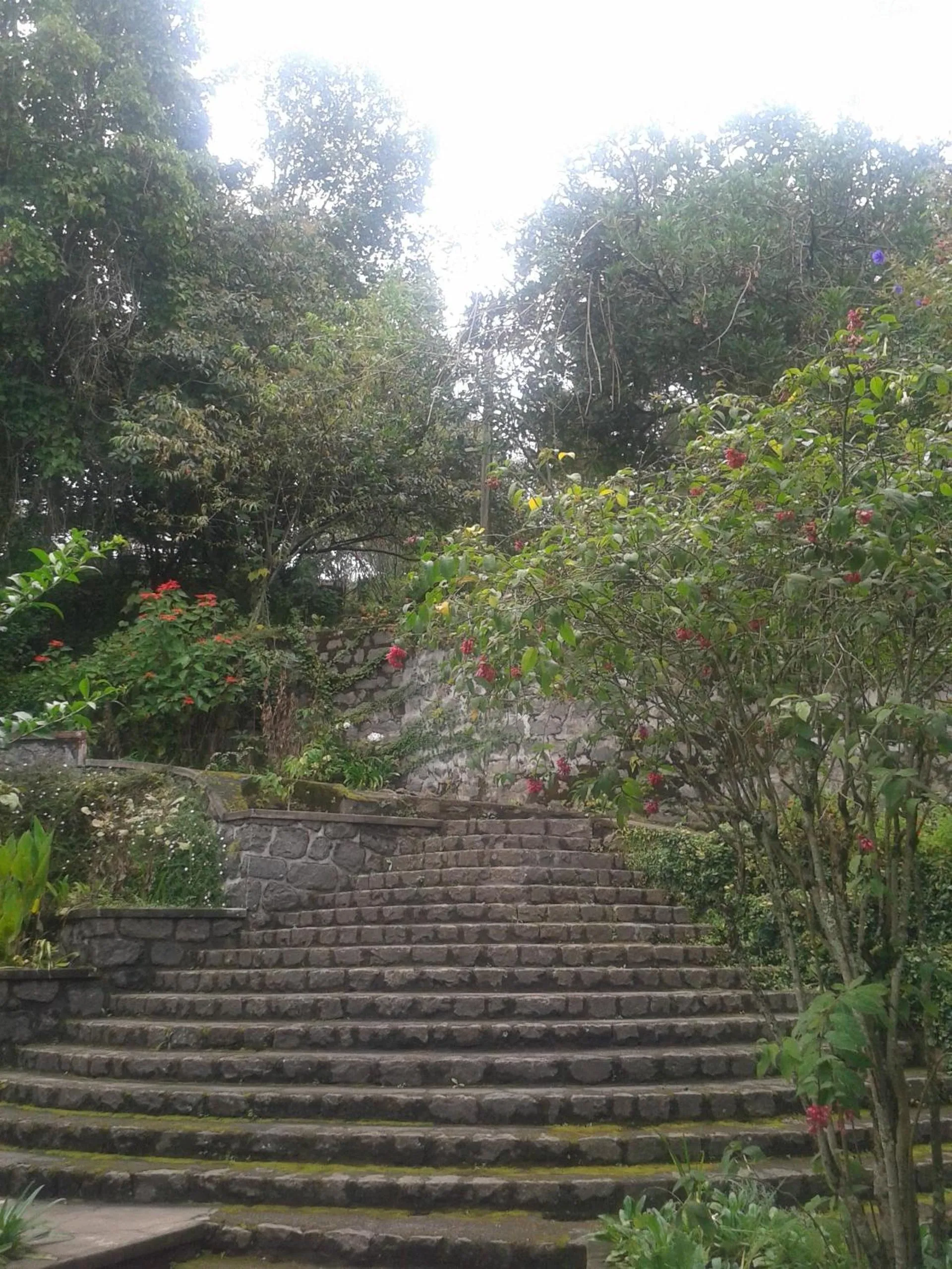 Other in Lilly's Valley Resort