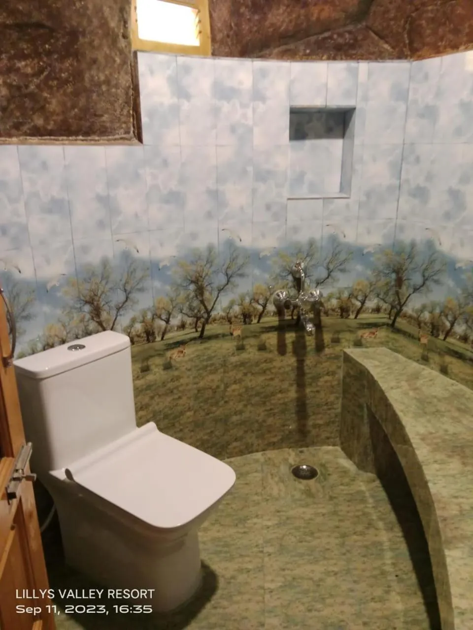 Bathroom in Lilly's Valley Resort