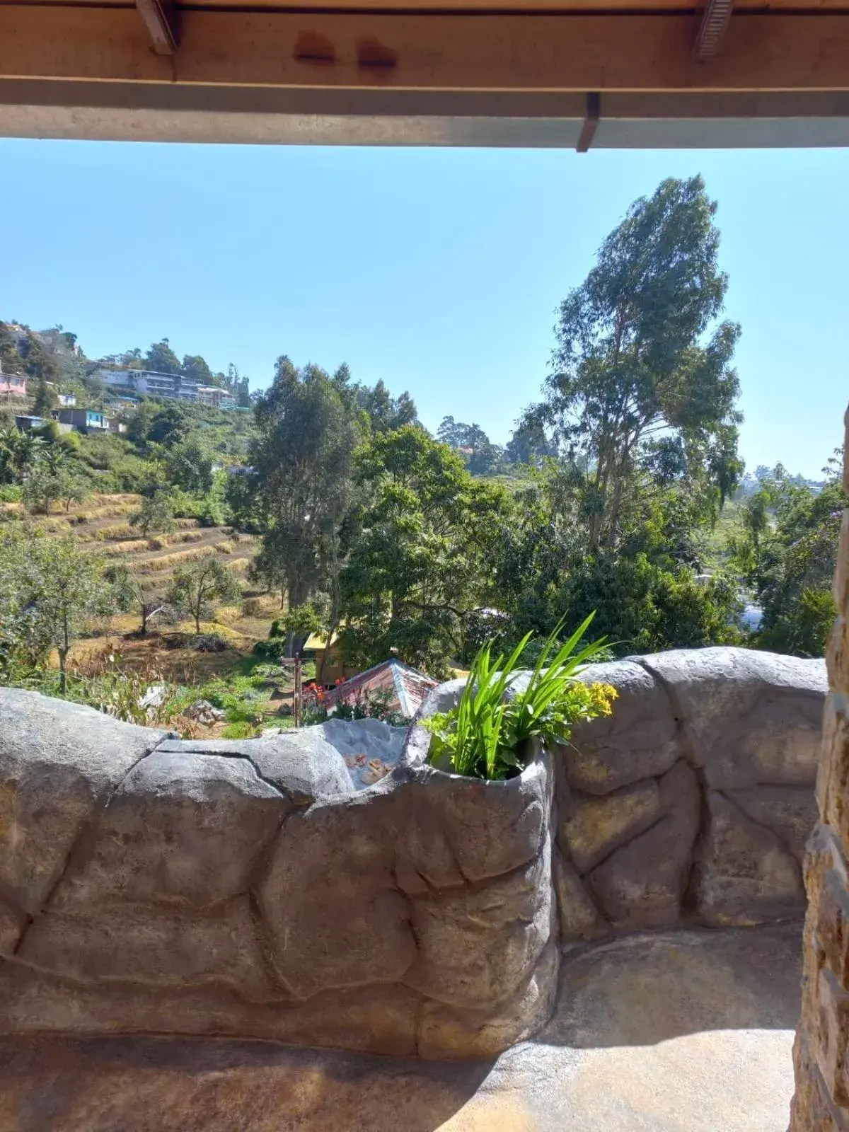 Queen Room - single occupancy in Lilly's Valley Resort Queen Room - single occupancy in Lilly's Valley Resort