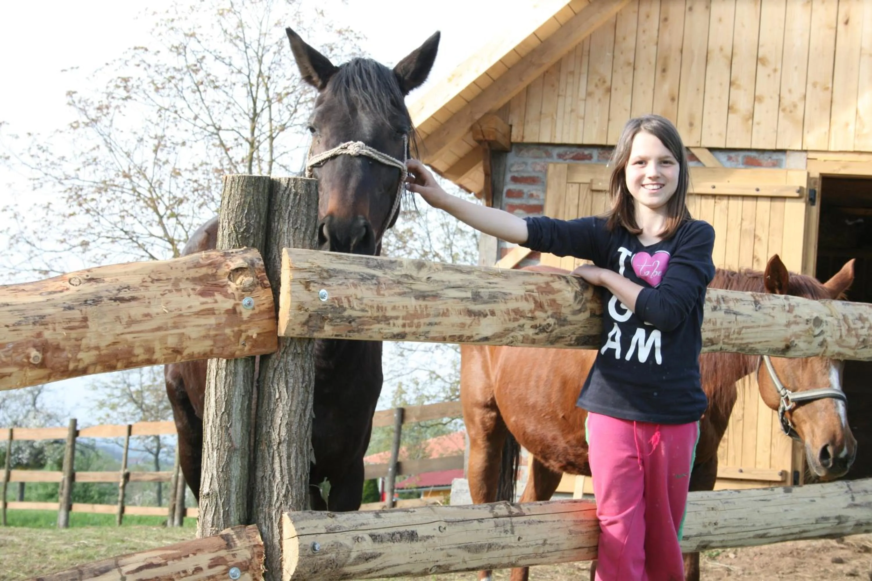 Animals in Farmica, Bed&Breakfast, Bazen izdvojen nekoliko minuta hoda