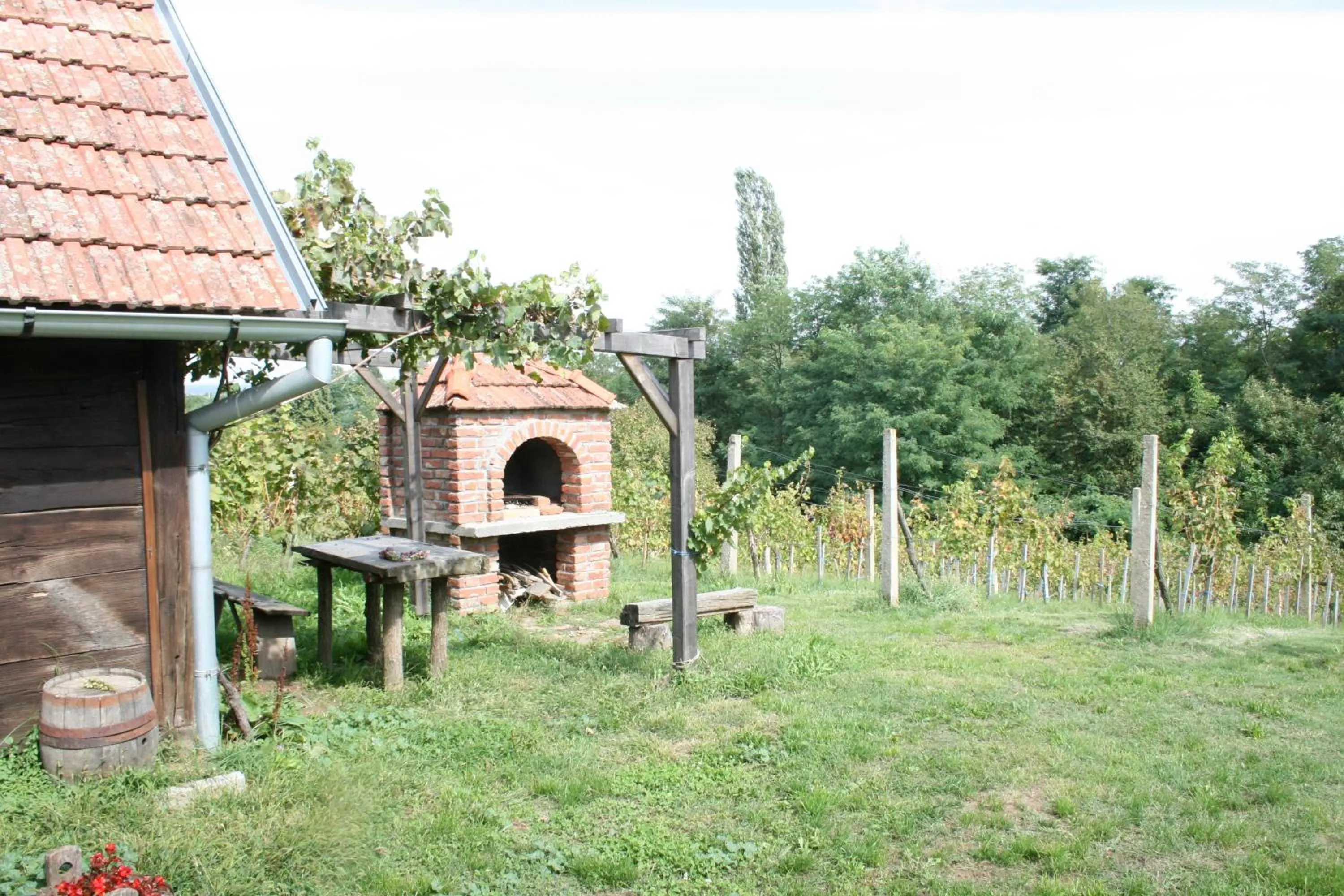 BBQ facilities in Farmica, Bed&Breakfast, Bazen izdvojen nekoliko minuta hoda