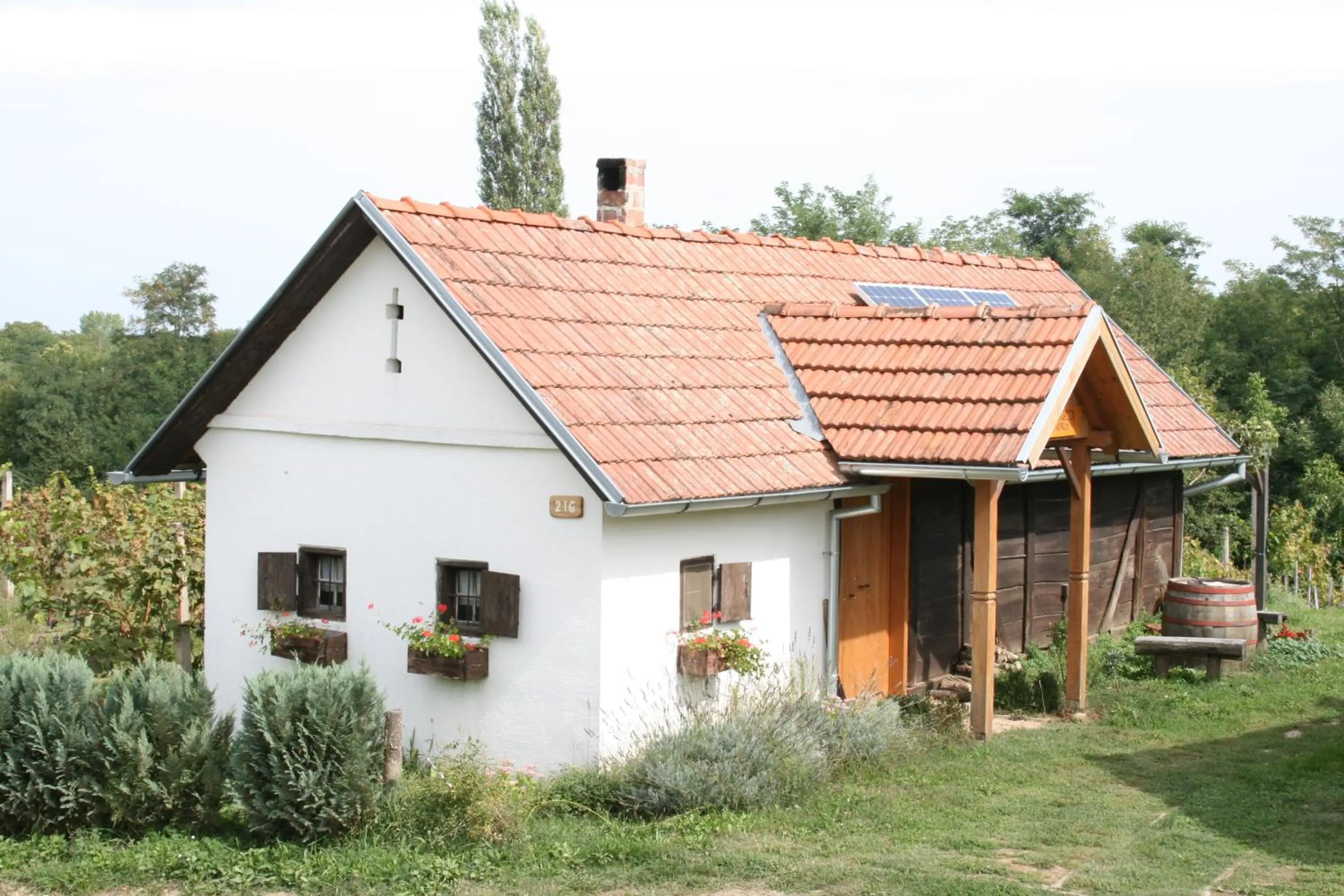Bird's eye view in Farmica, Bed&Breakfast, Bazen izdvojen nekoliko minuta hoda