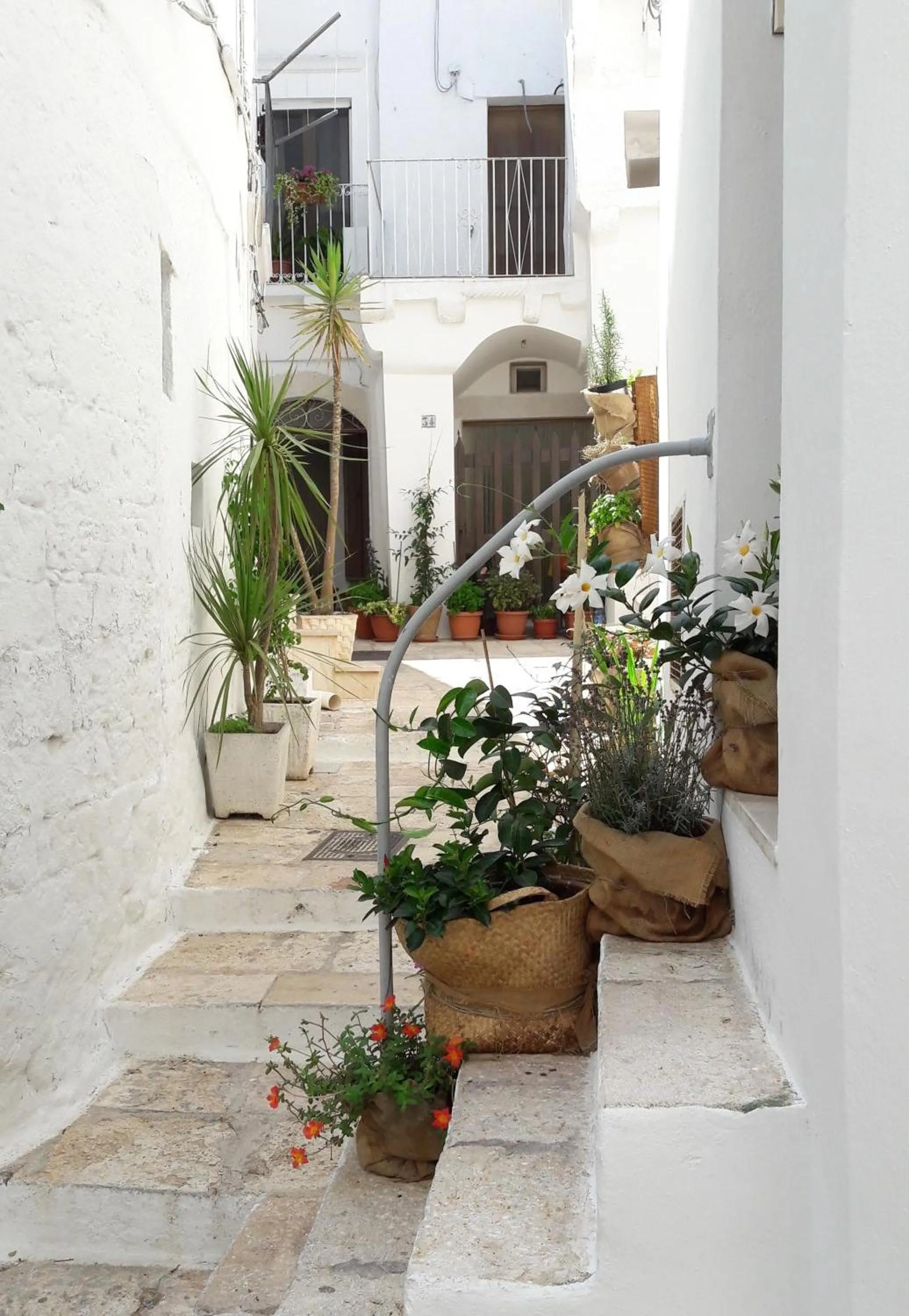 Casa Mario