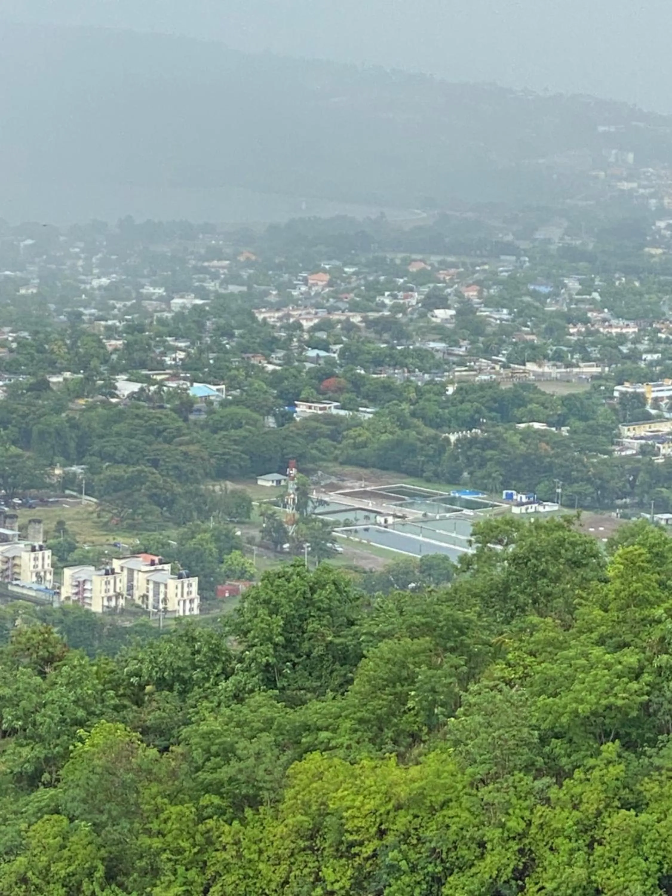 Day in Tranquility Estate