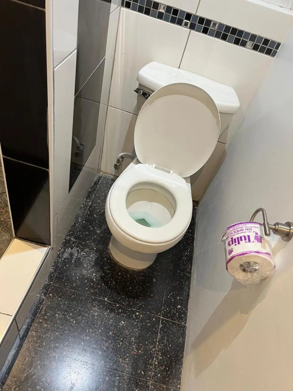 Toilet in Tranquility Estate